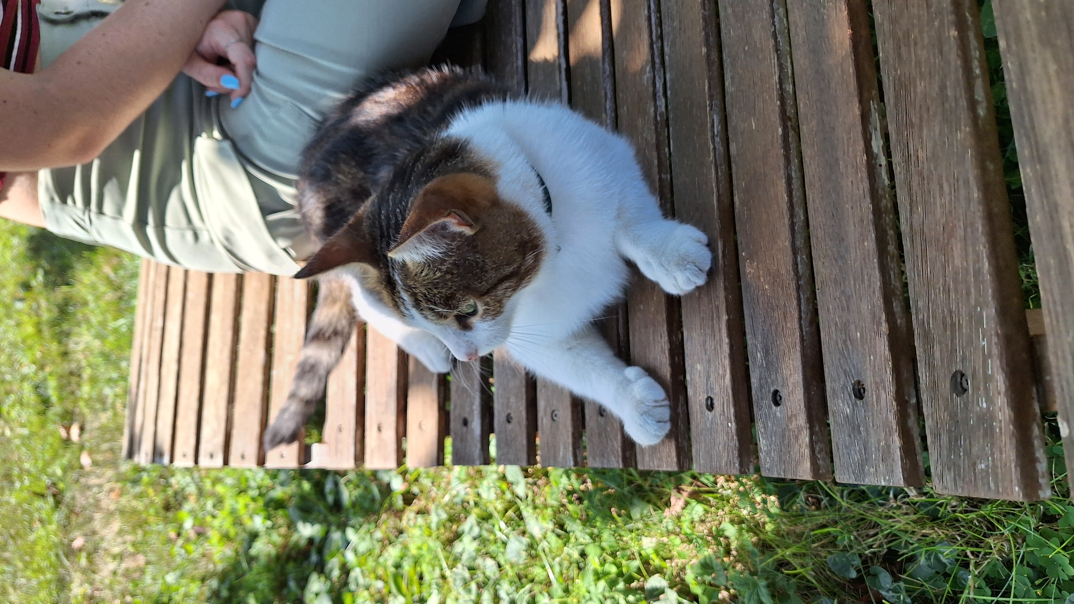 image-8