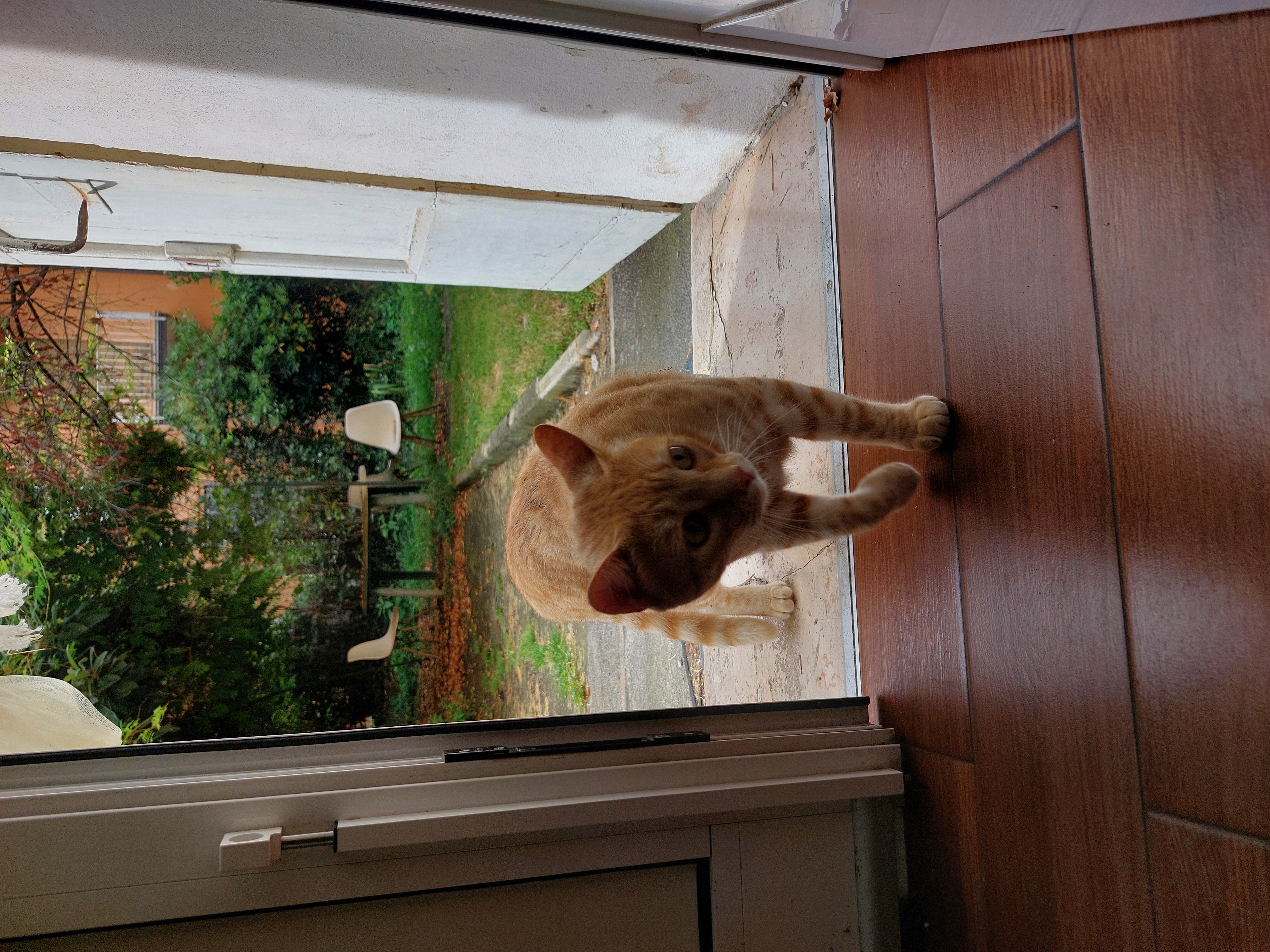 image-7
