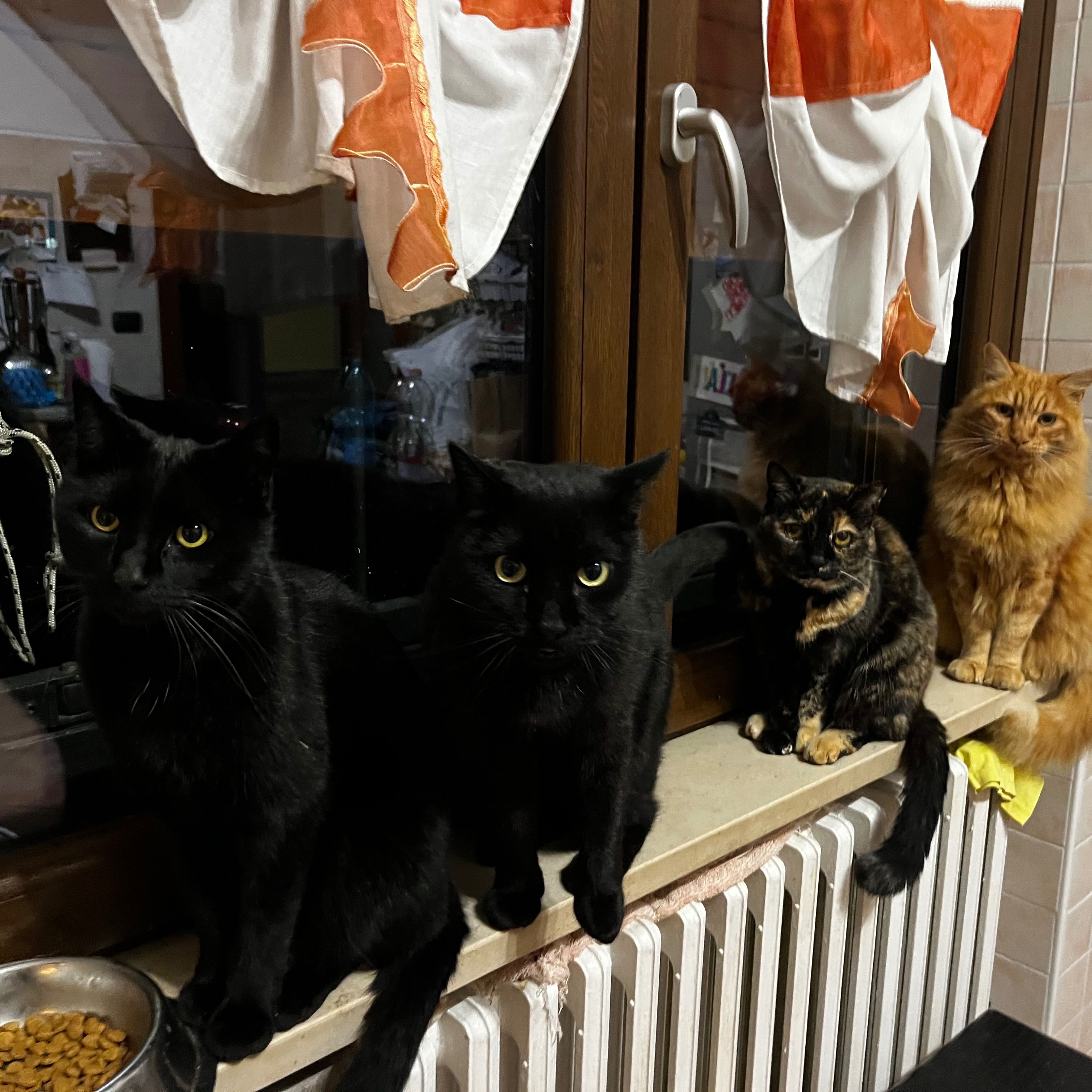 Oscar,Pucci,Rebecca,Leone