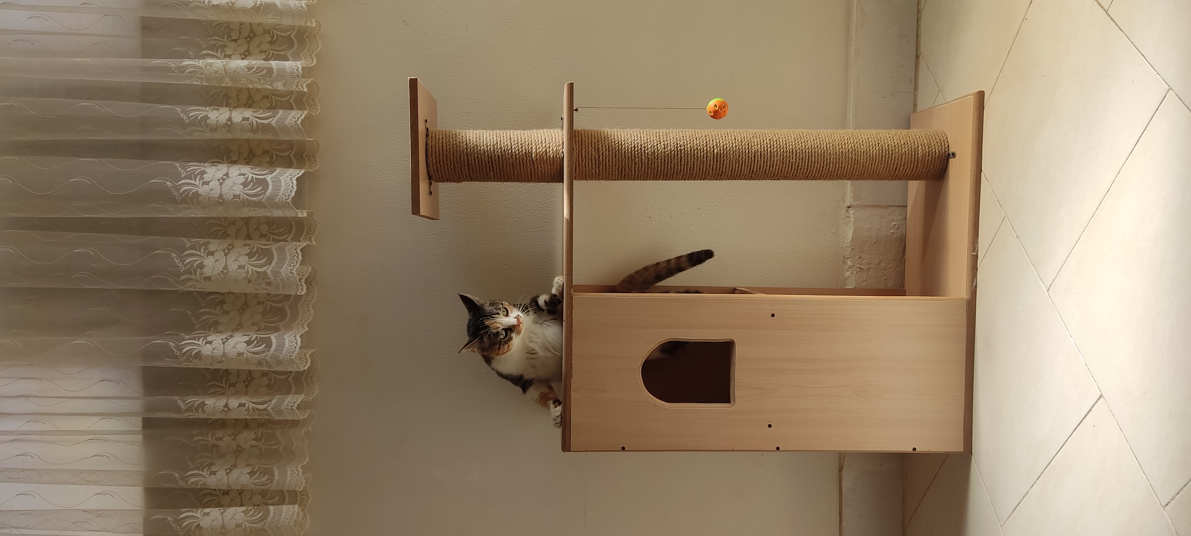 image-6