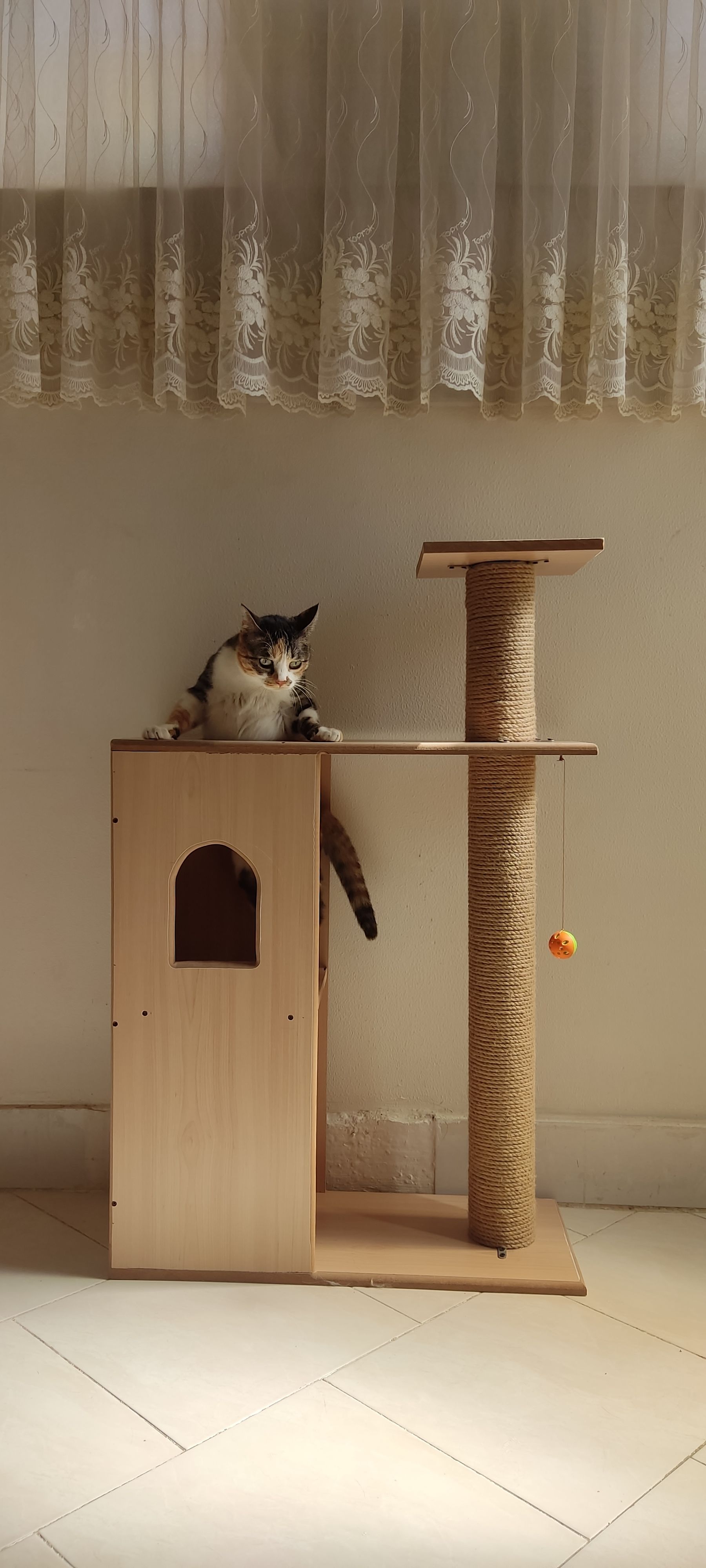 image-6