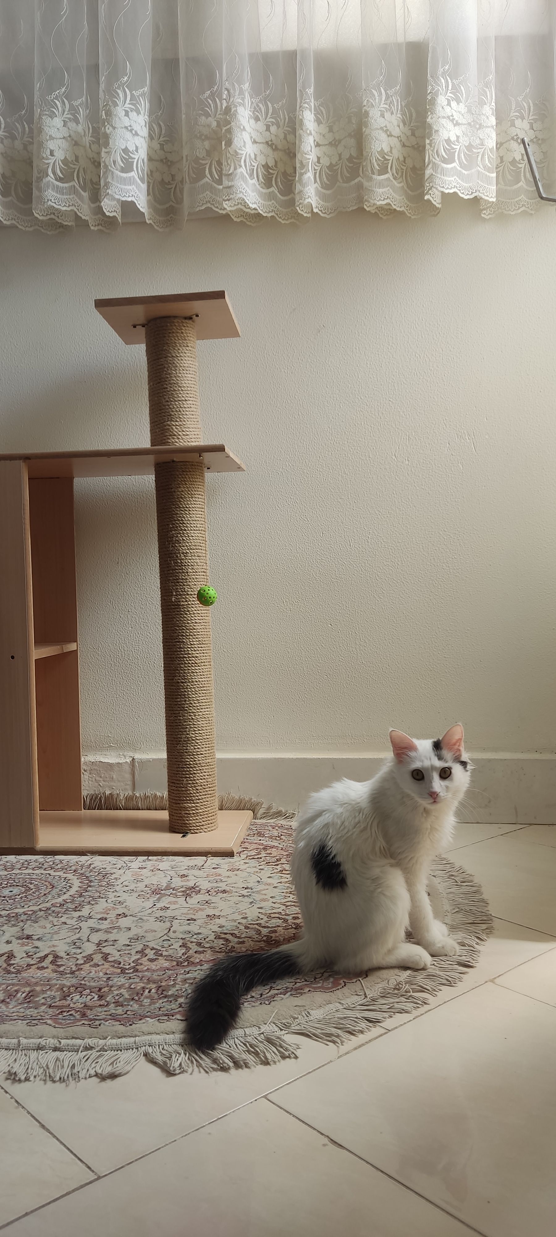 image-5