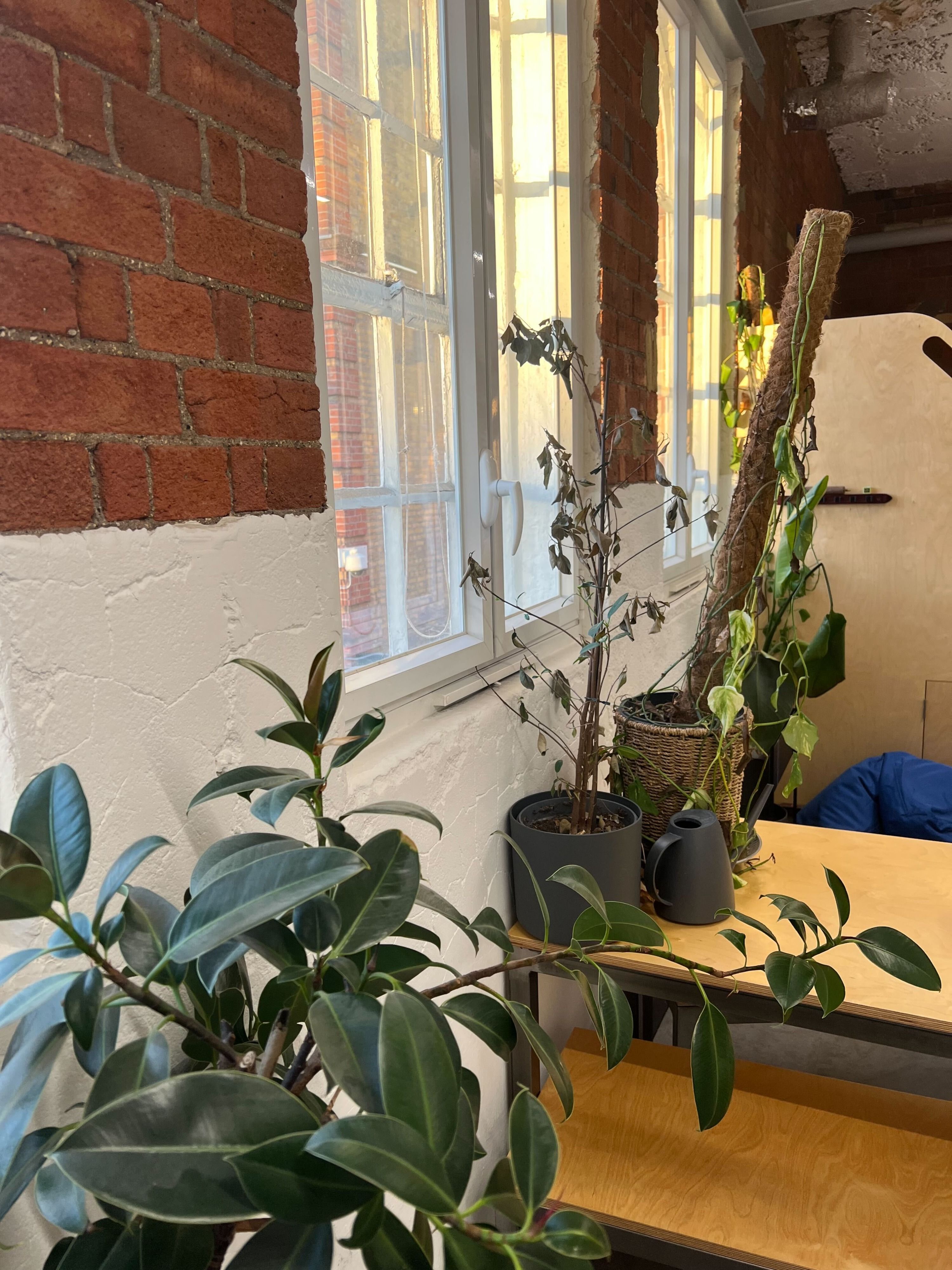 image-8