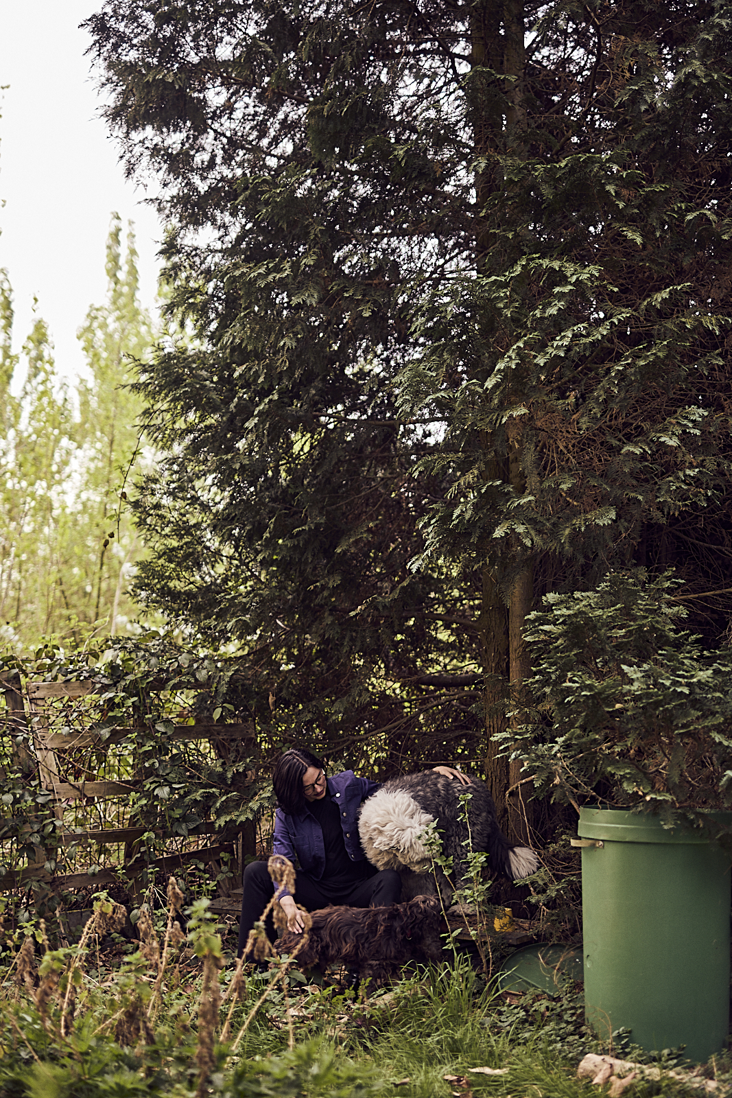 image-7