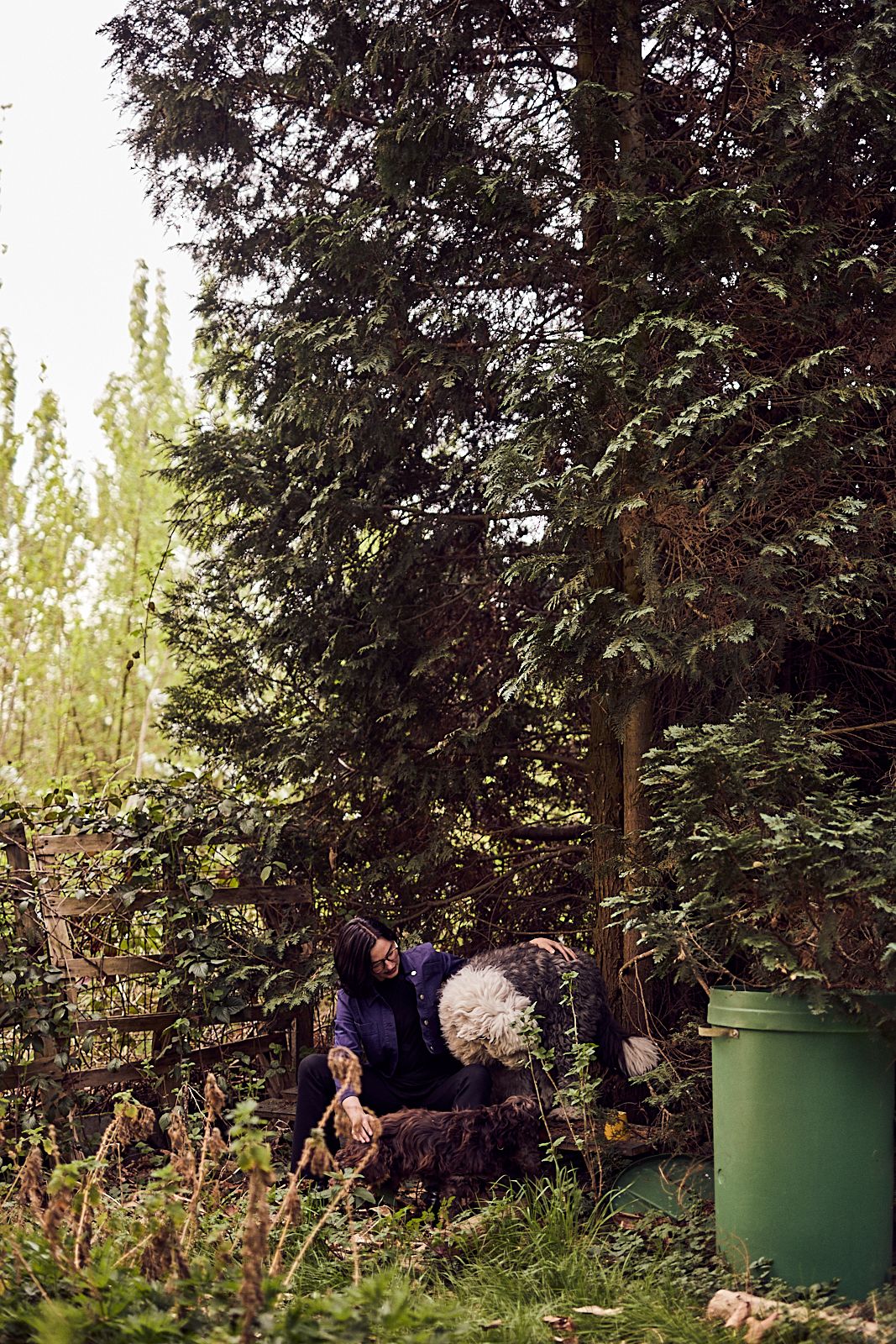 image-7