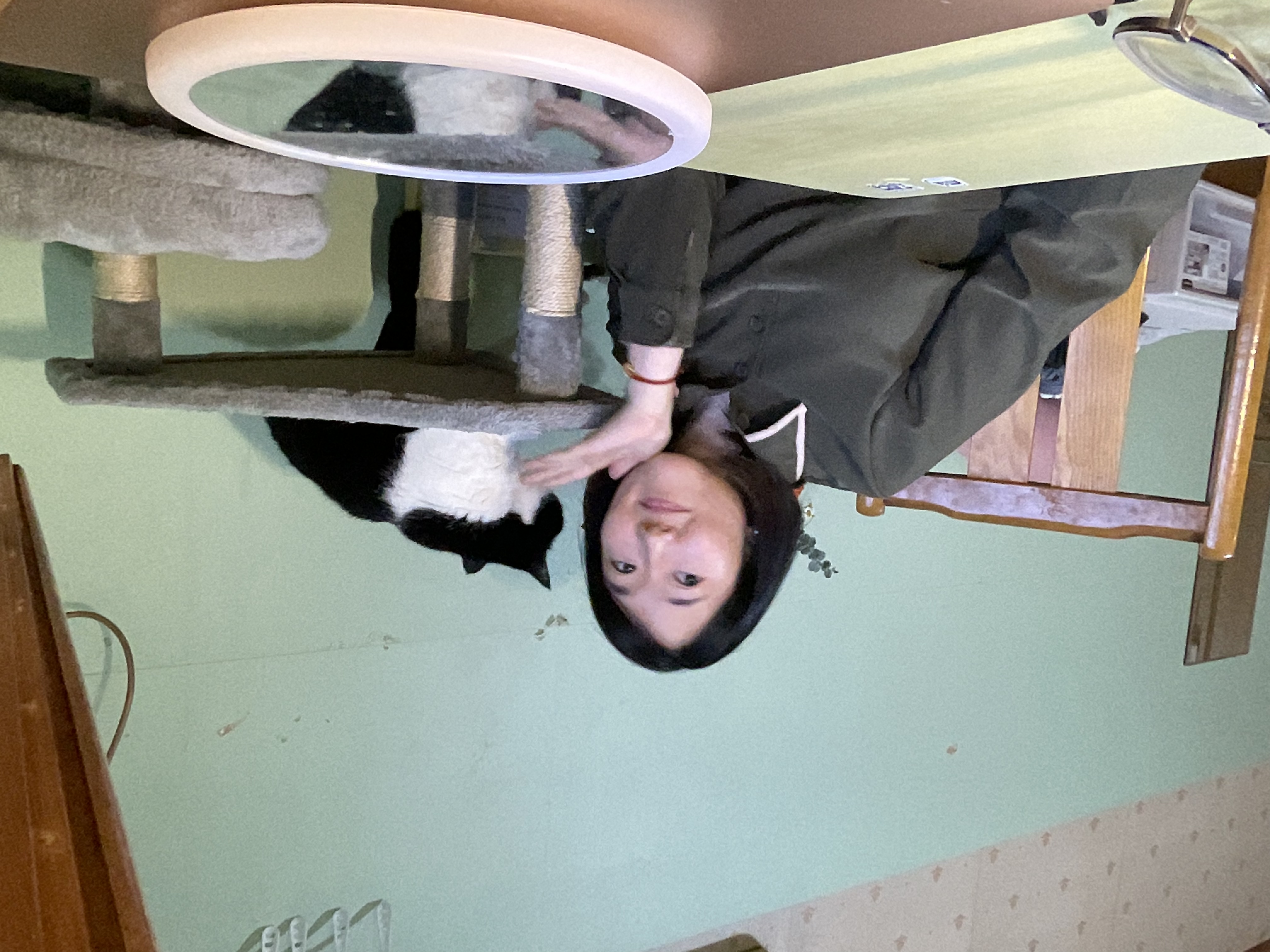 image-9