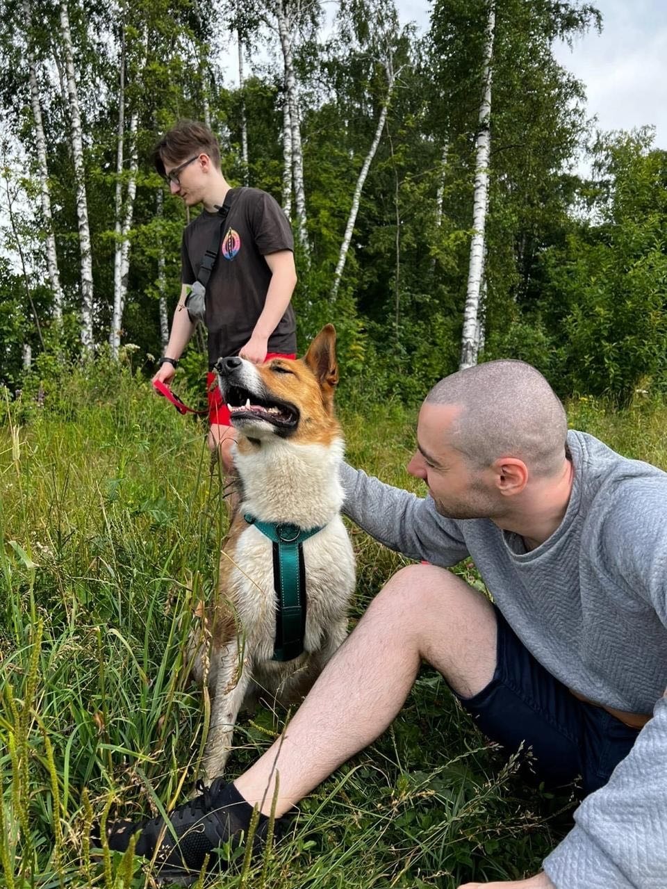 image-1