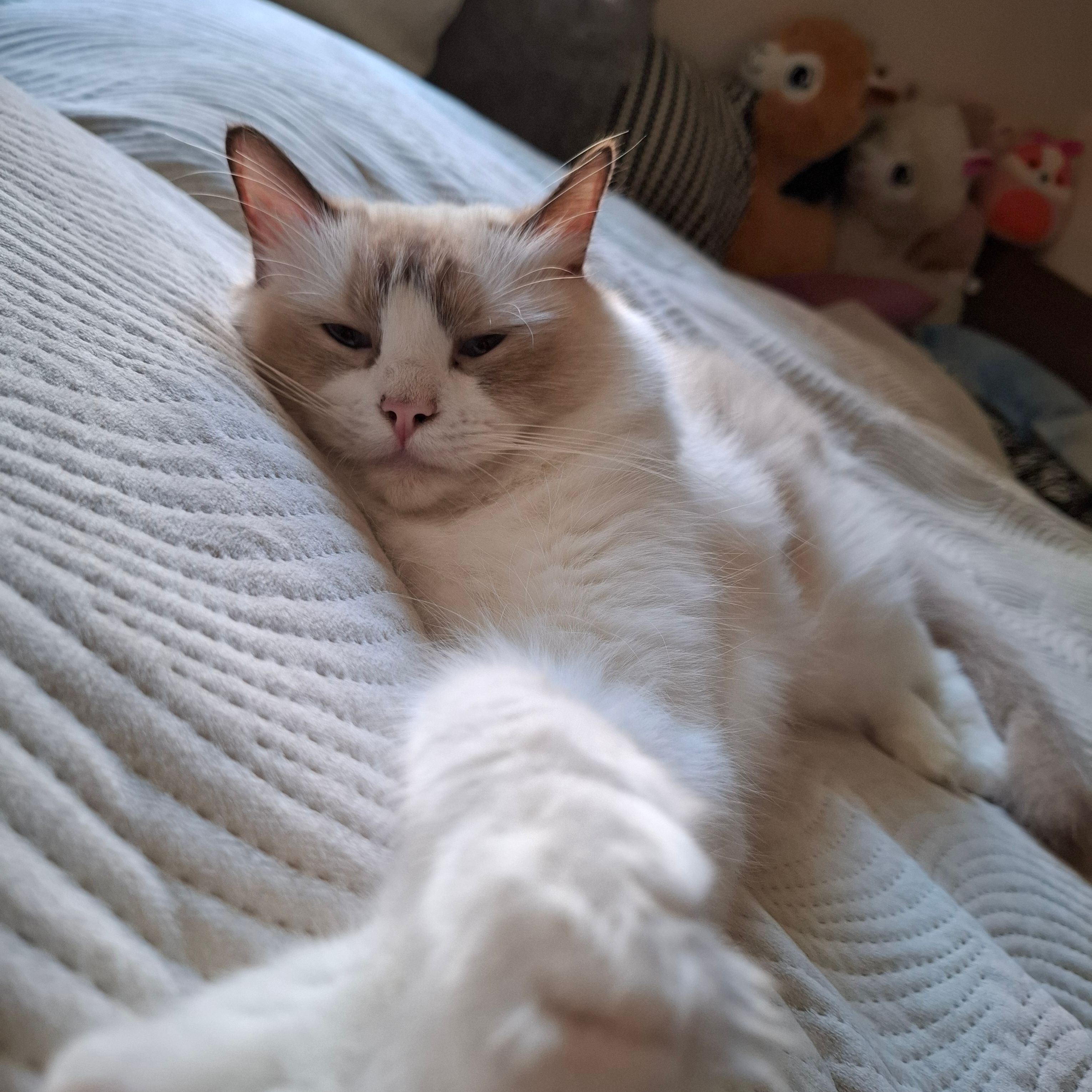 Freya
