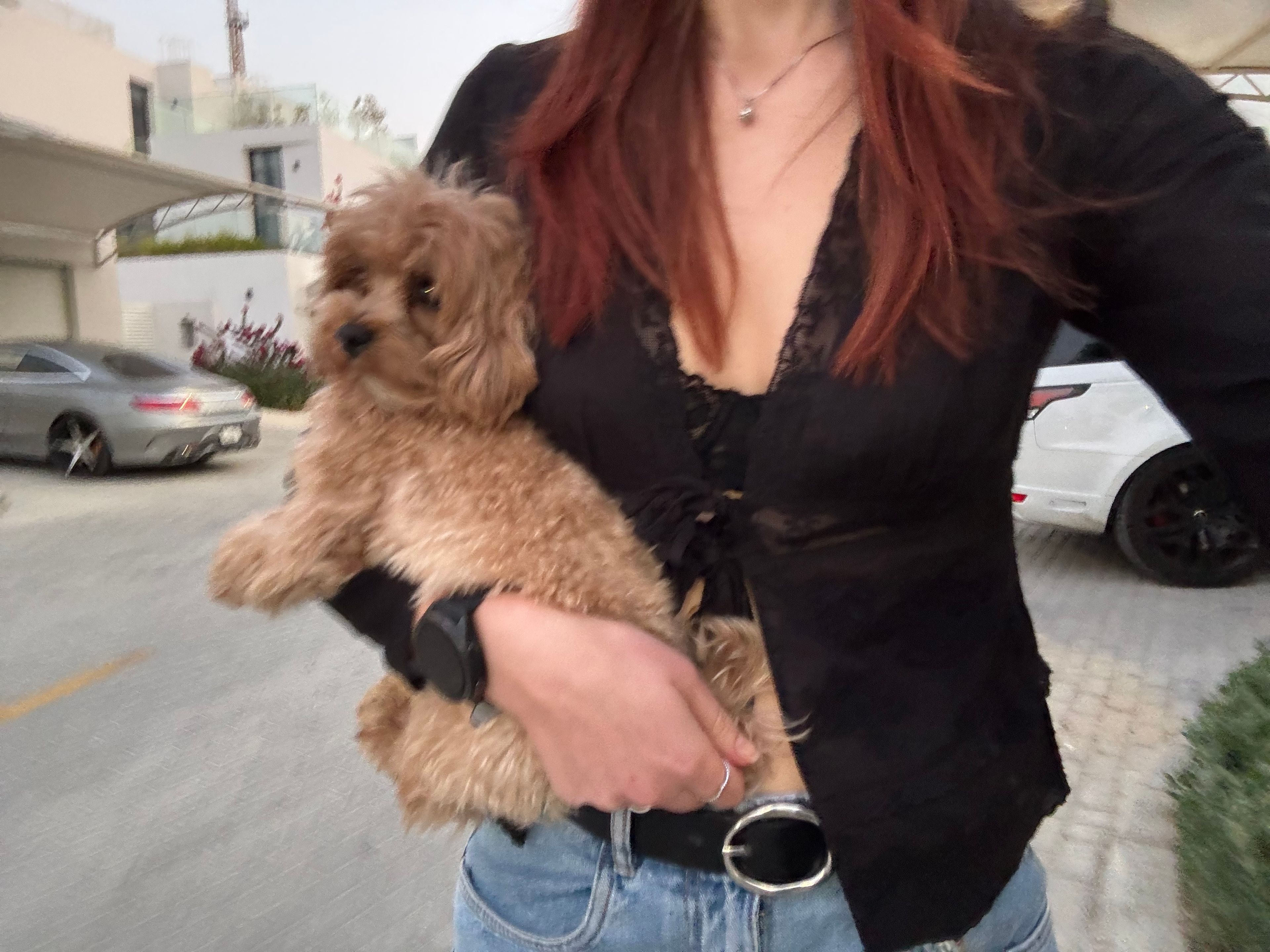 image-6