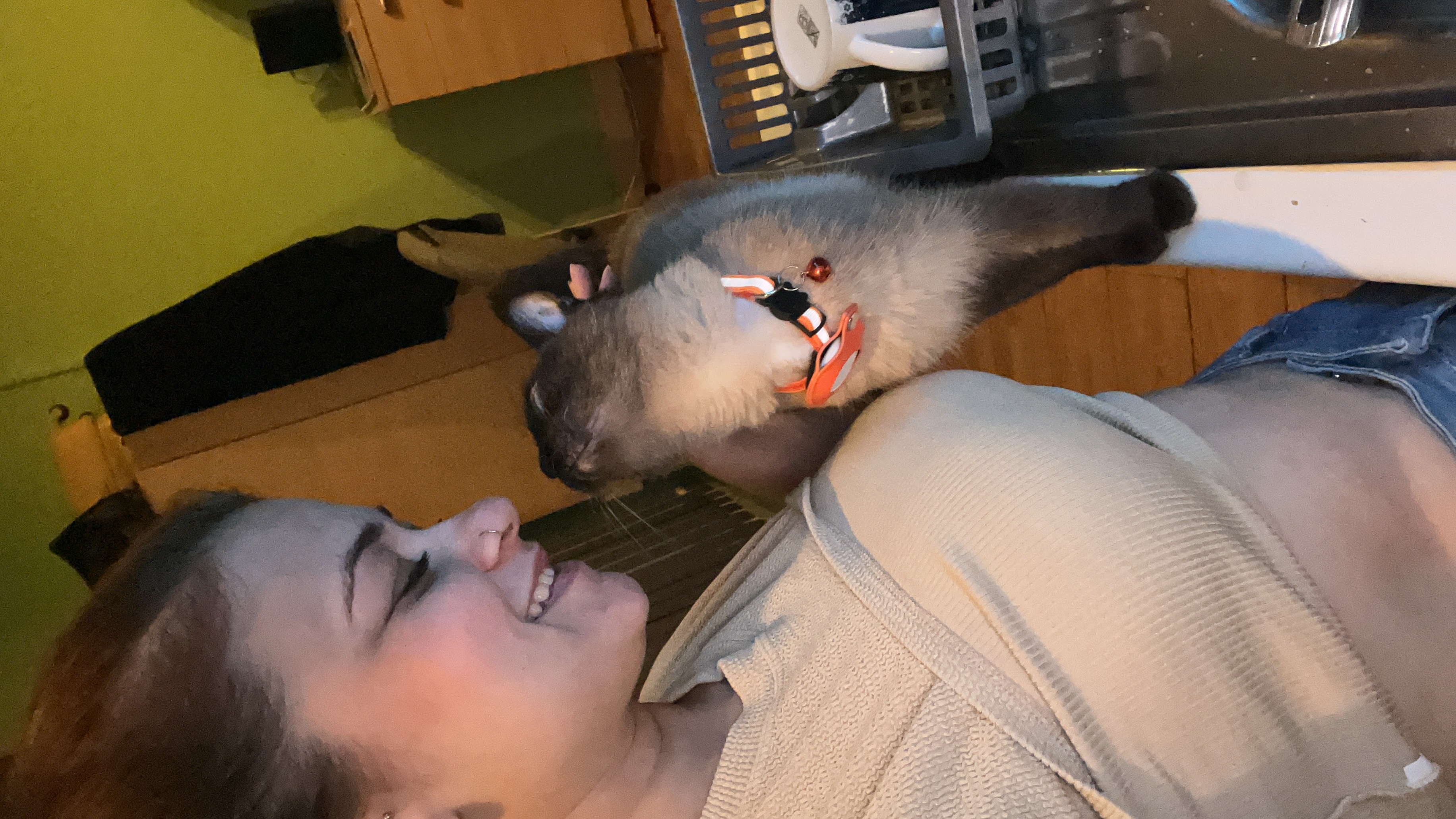 image-11