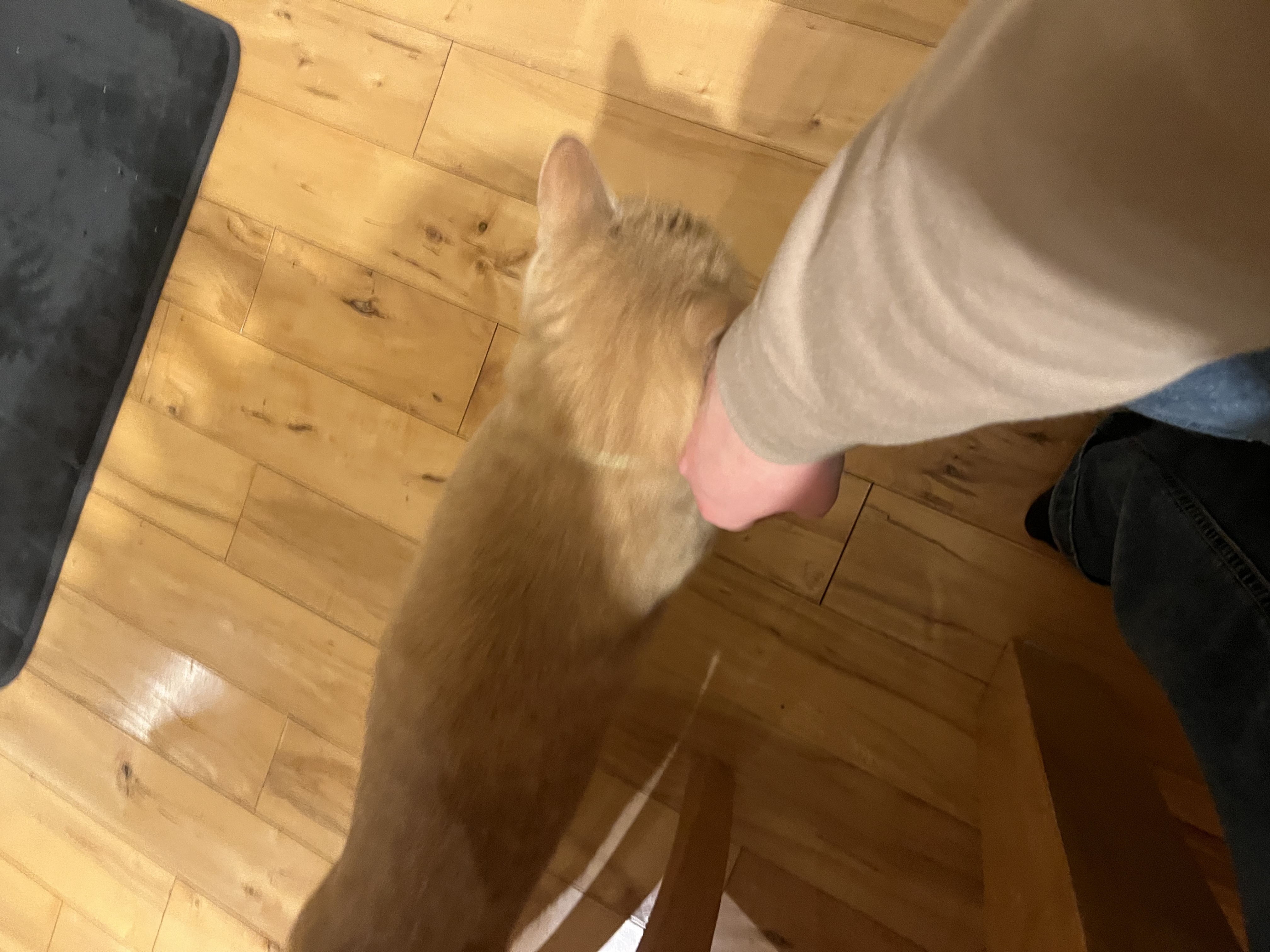 image-13