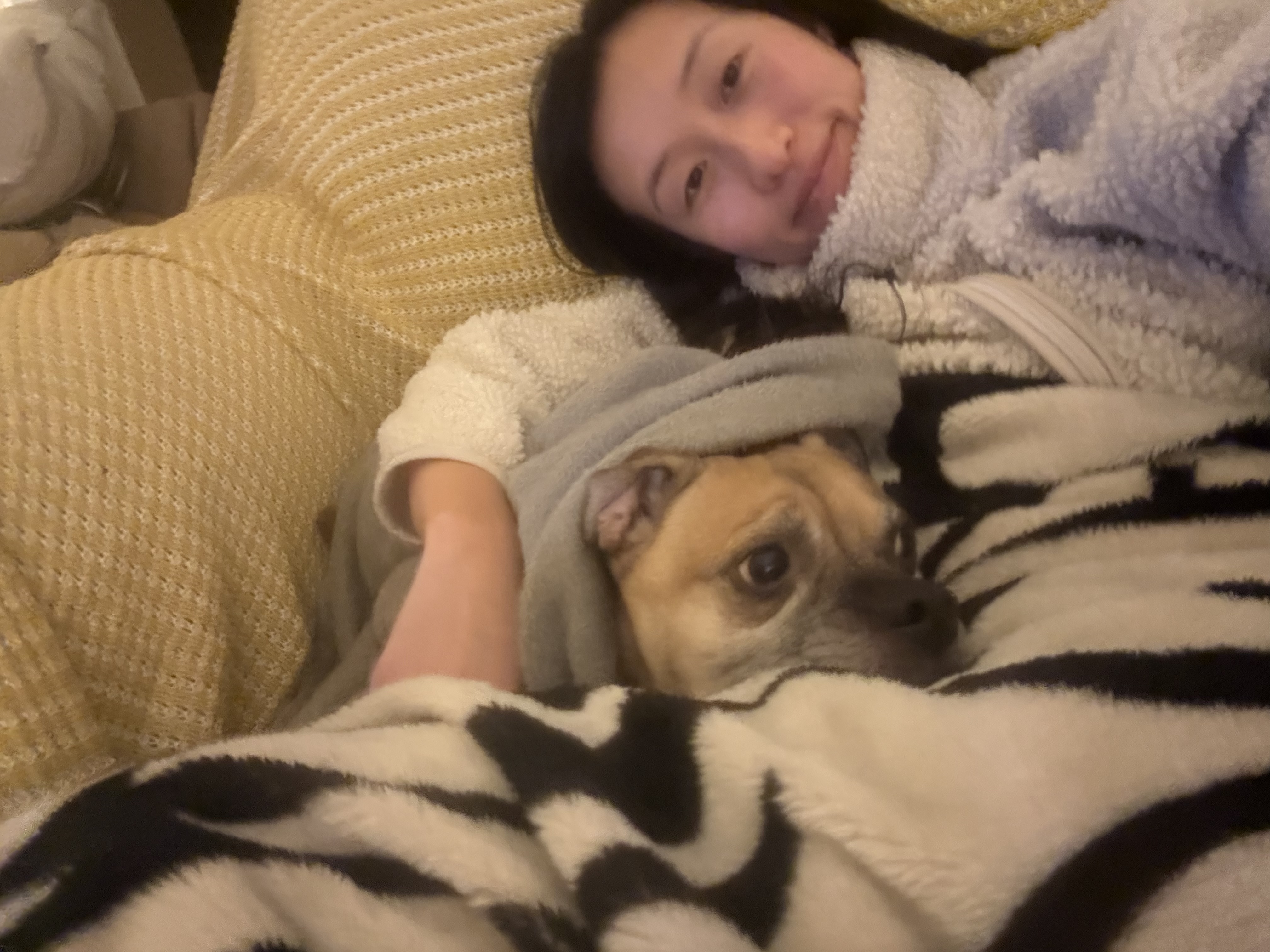 image-7