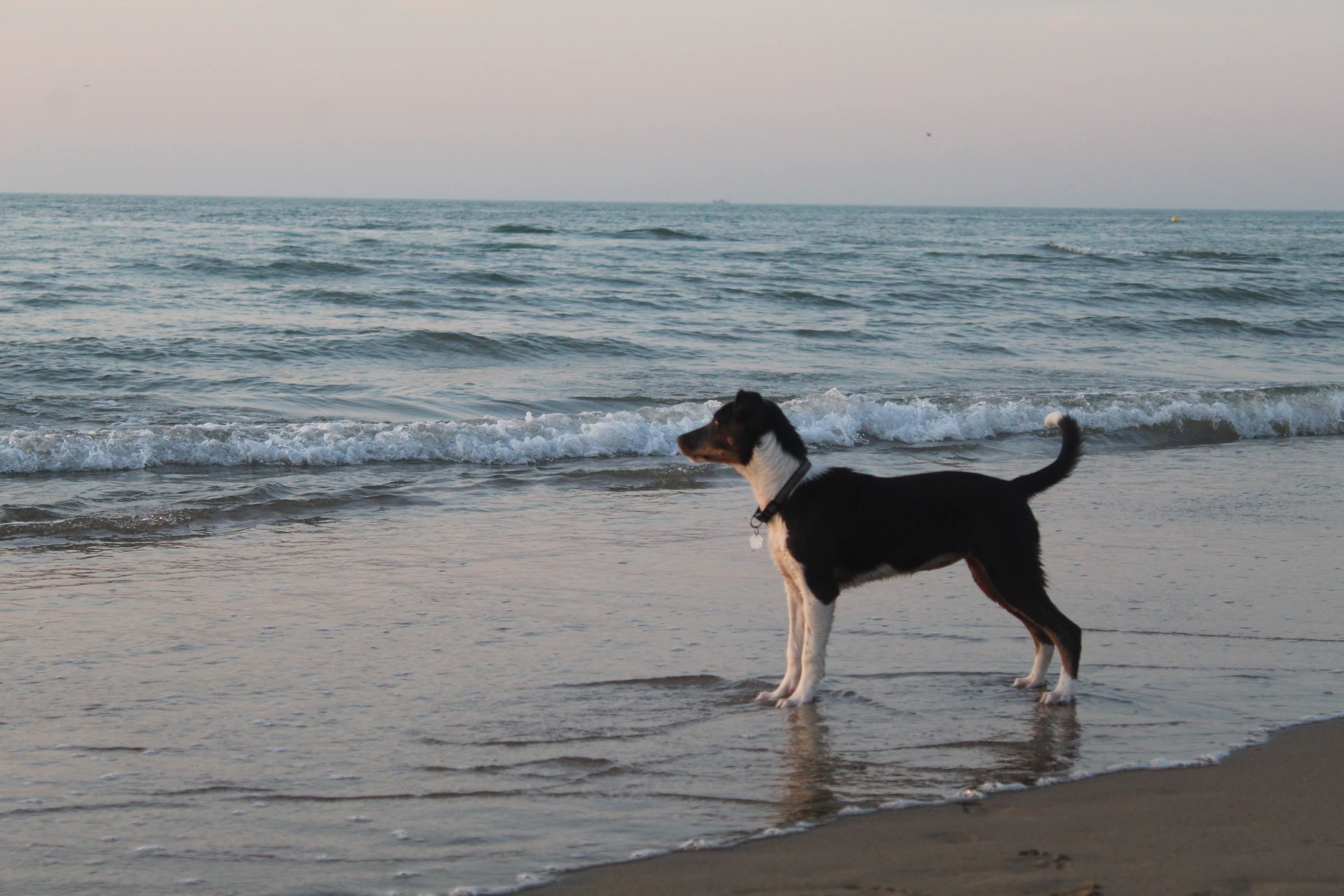 image-6