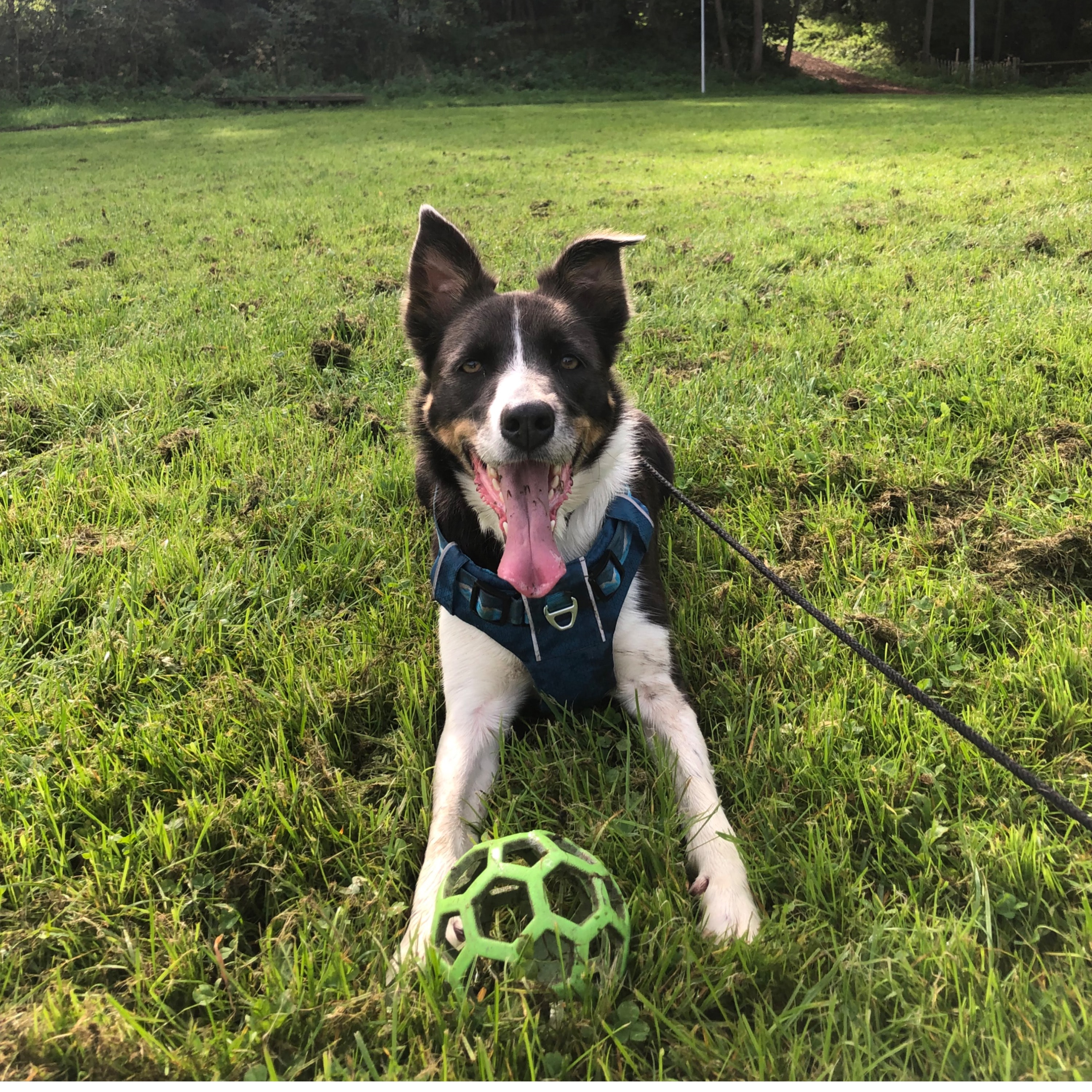 Zoë