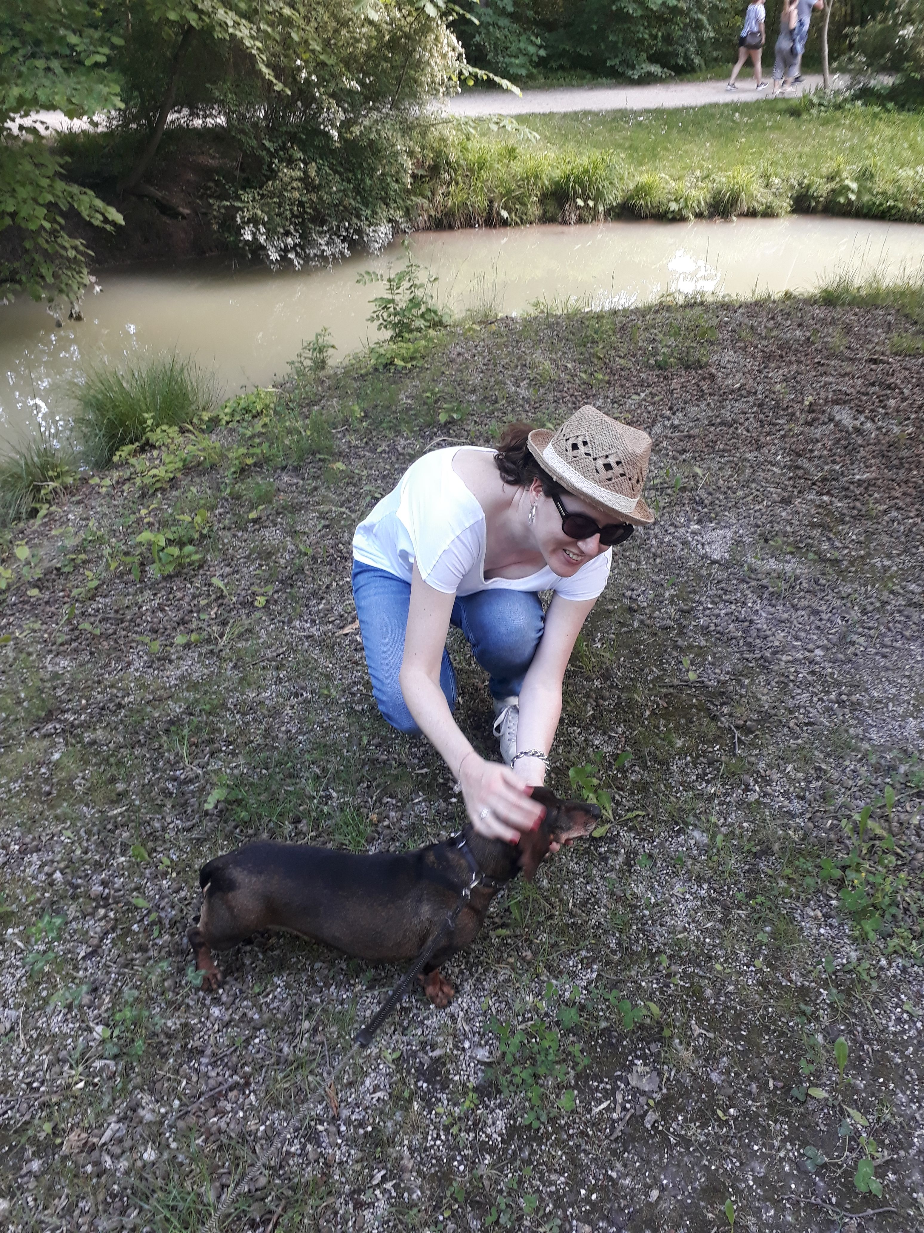 image-7