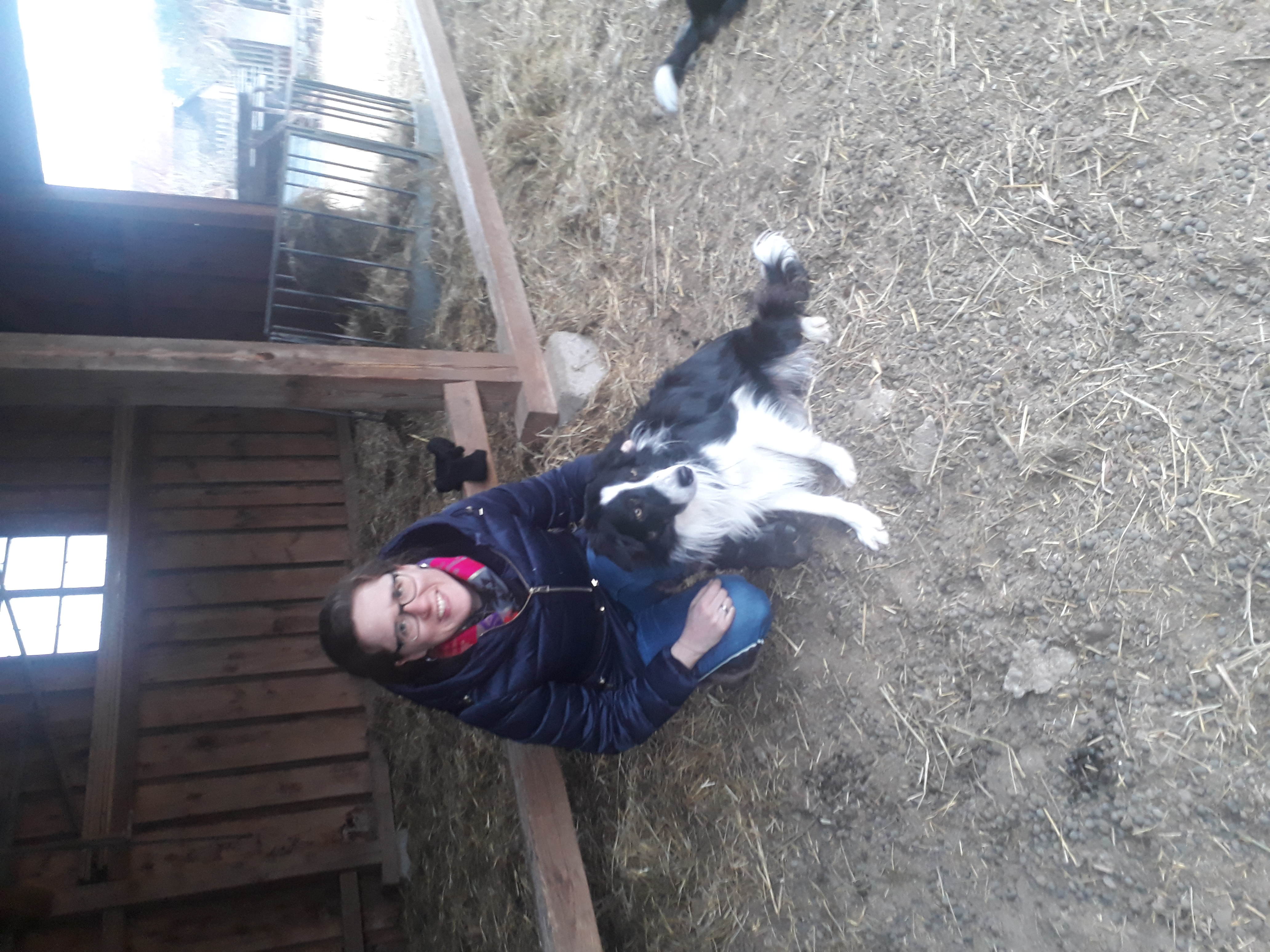 image-8