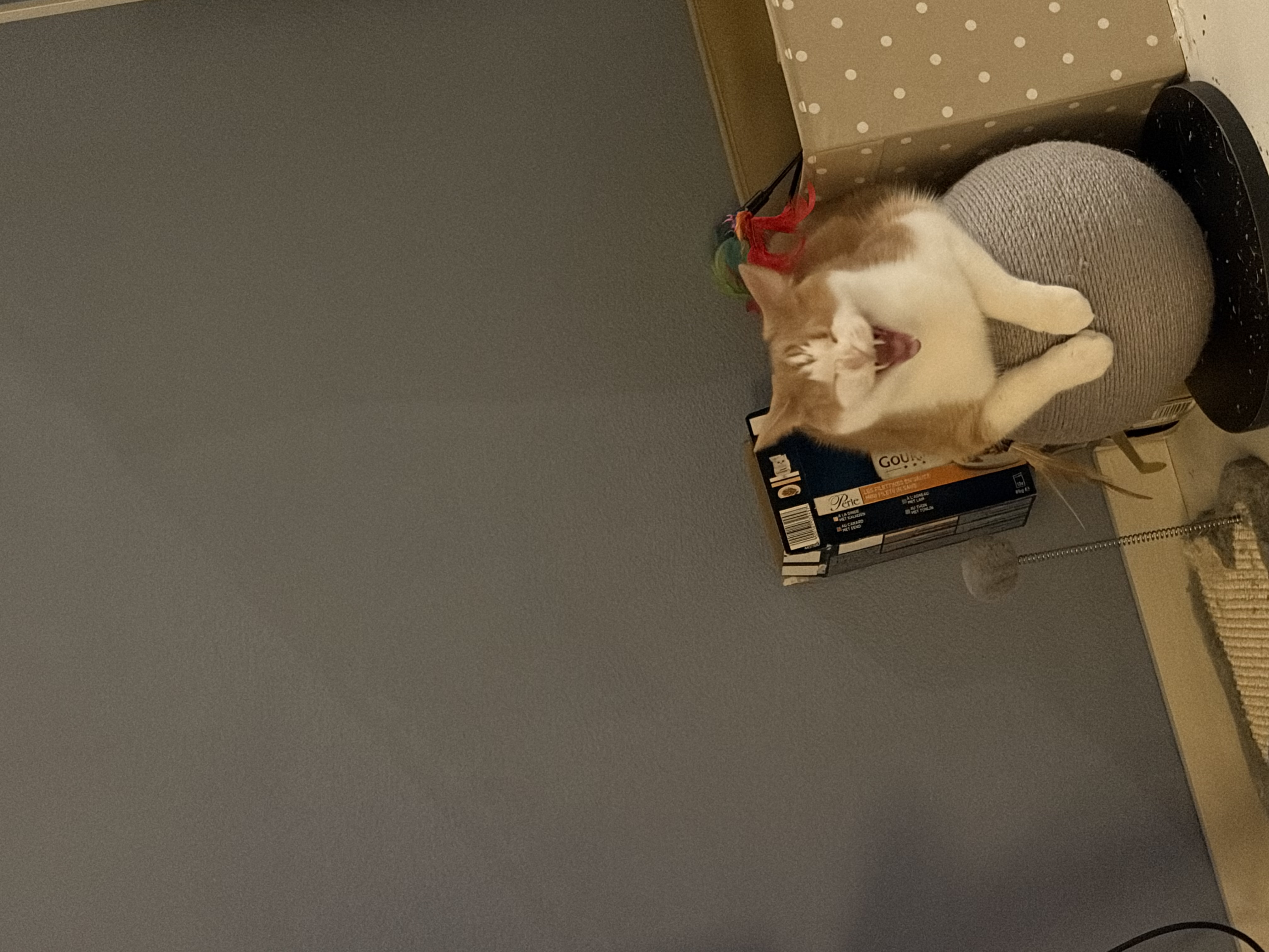 image-9