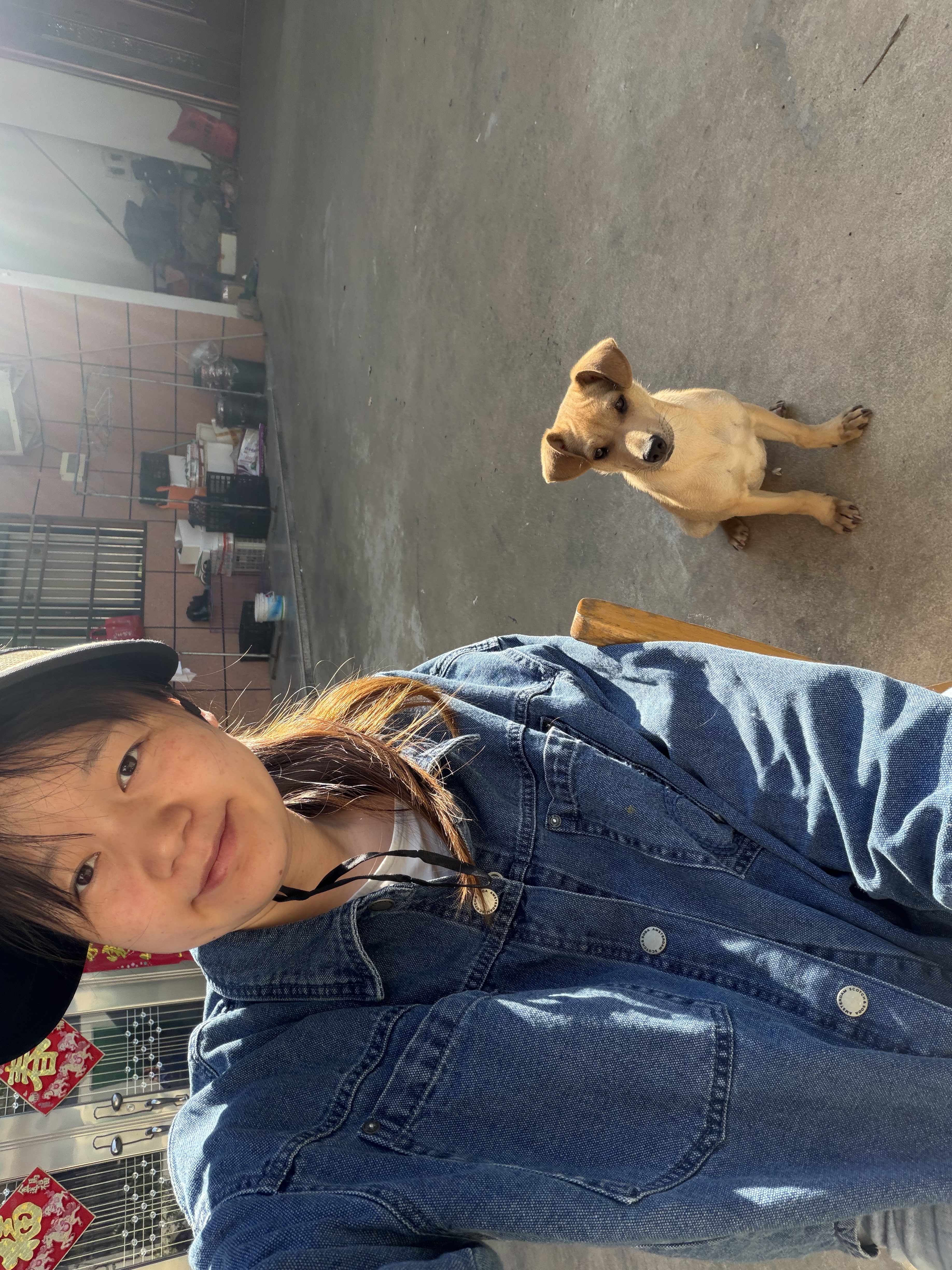 image-15
