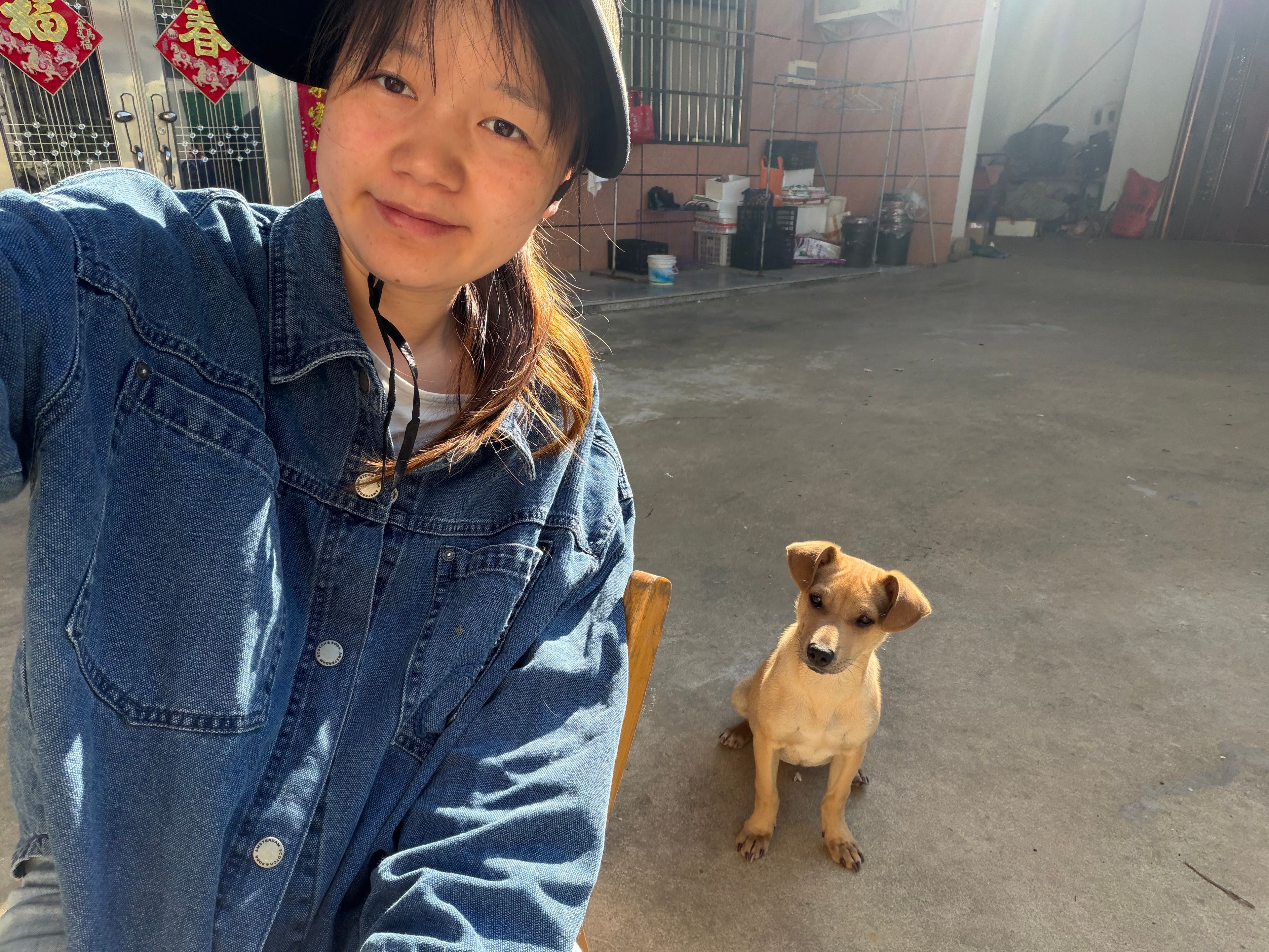 image-15