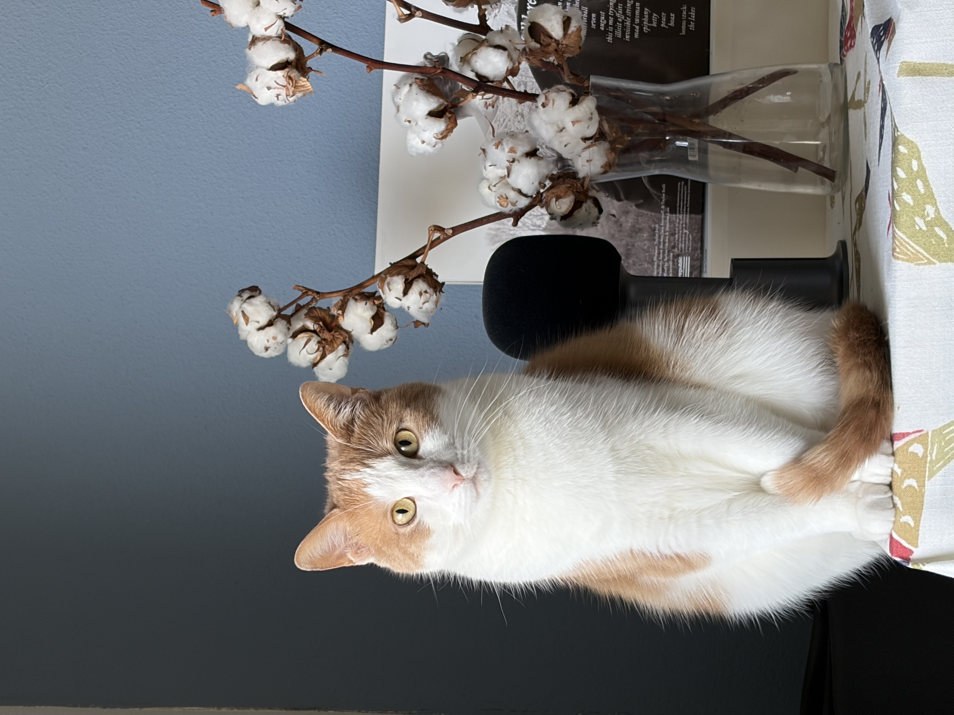 image-6