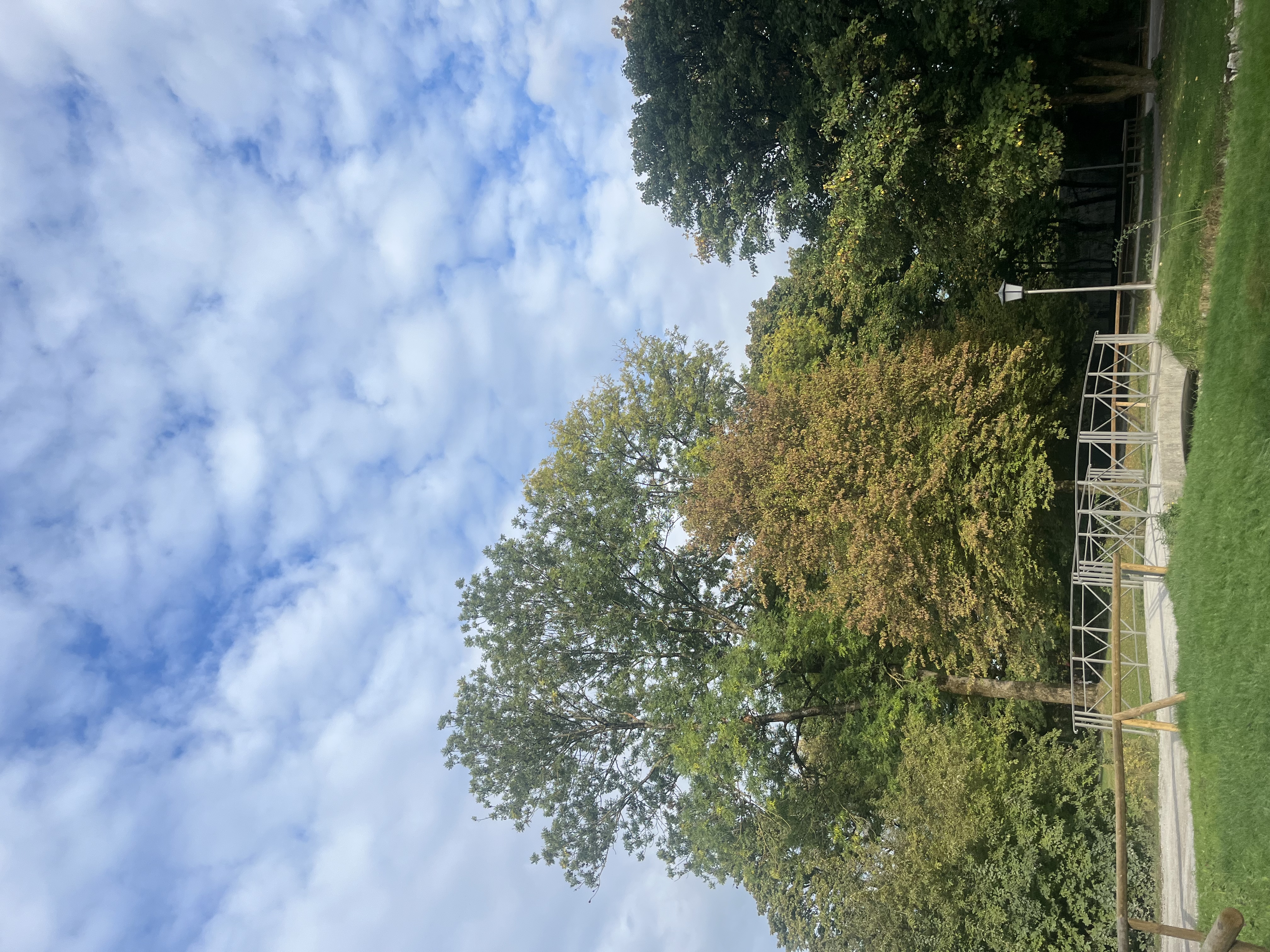 image-8