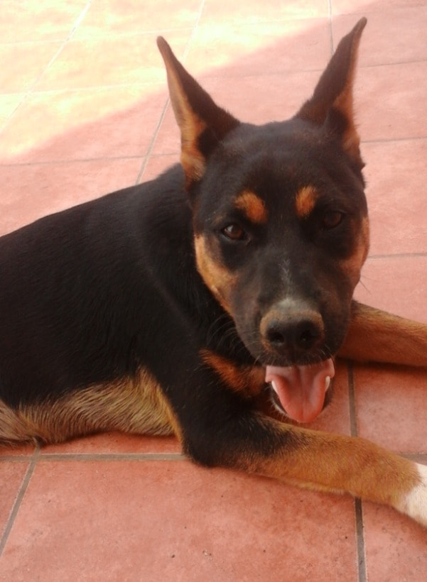 image-5