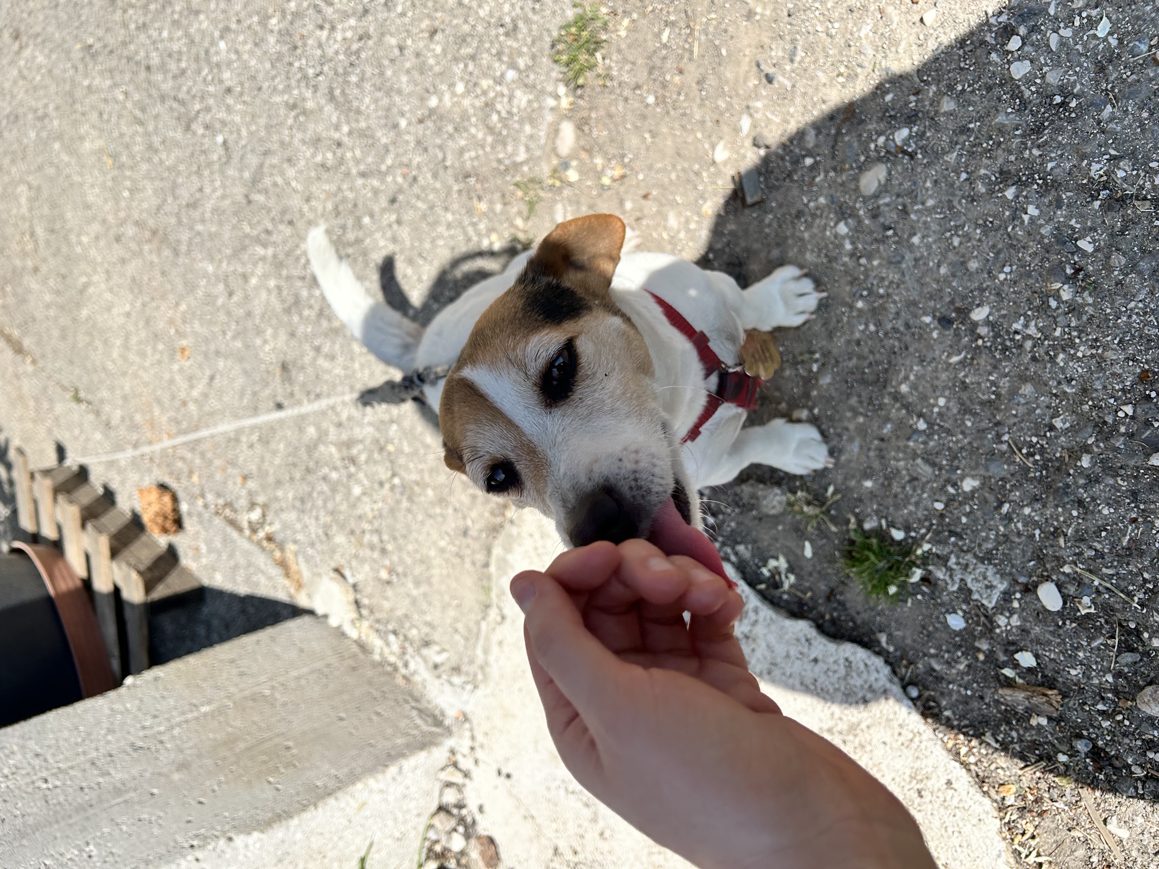 image-8