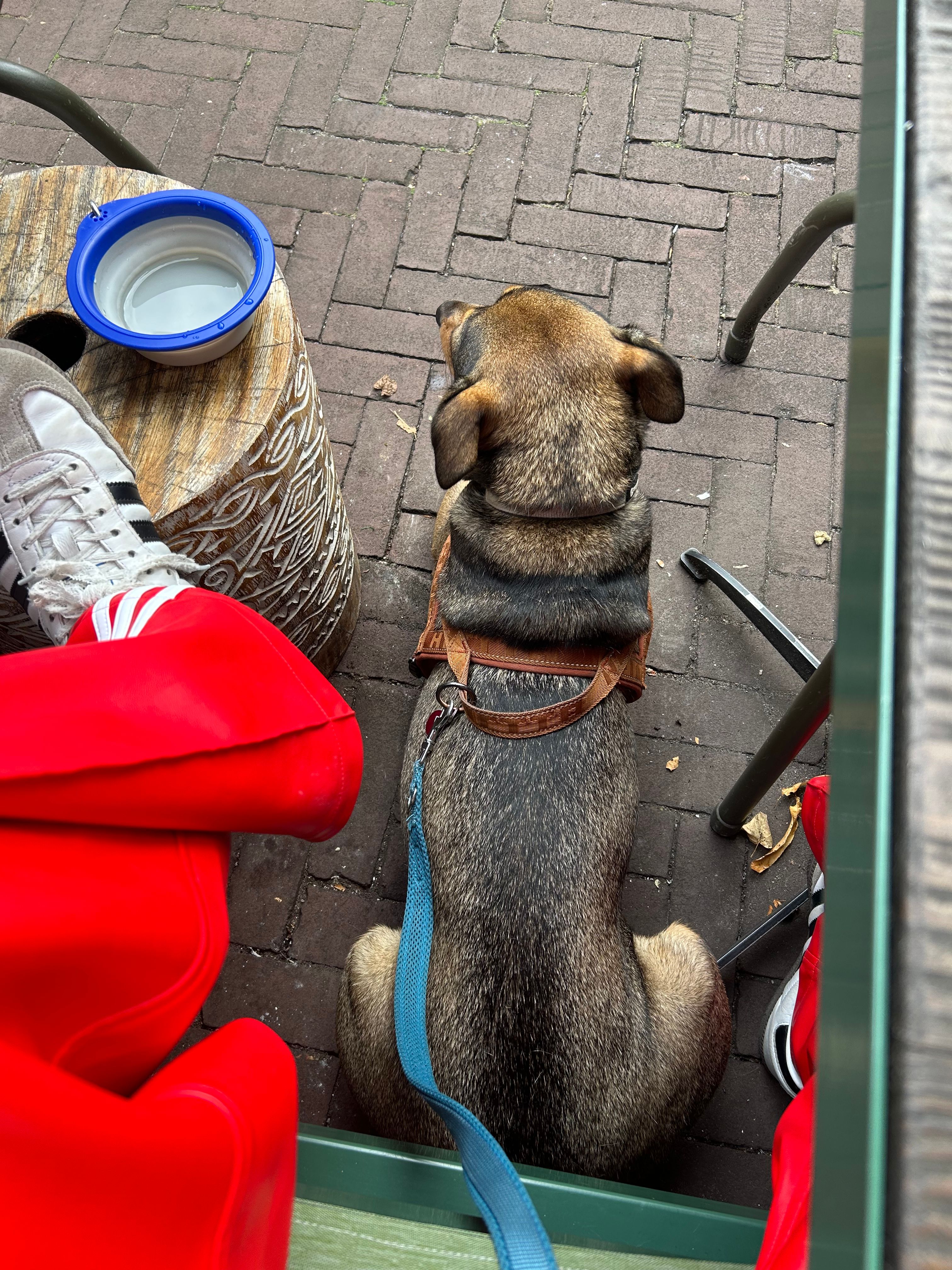 image-7