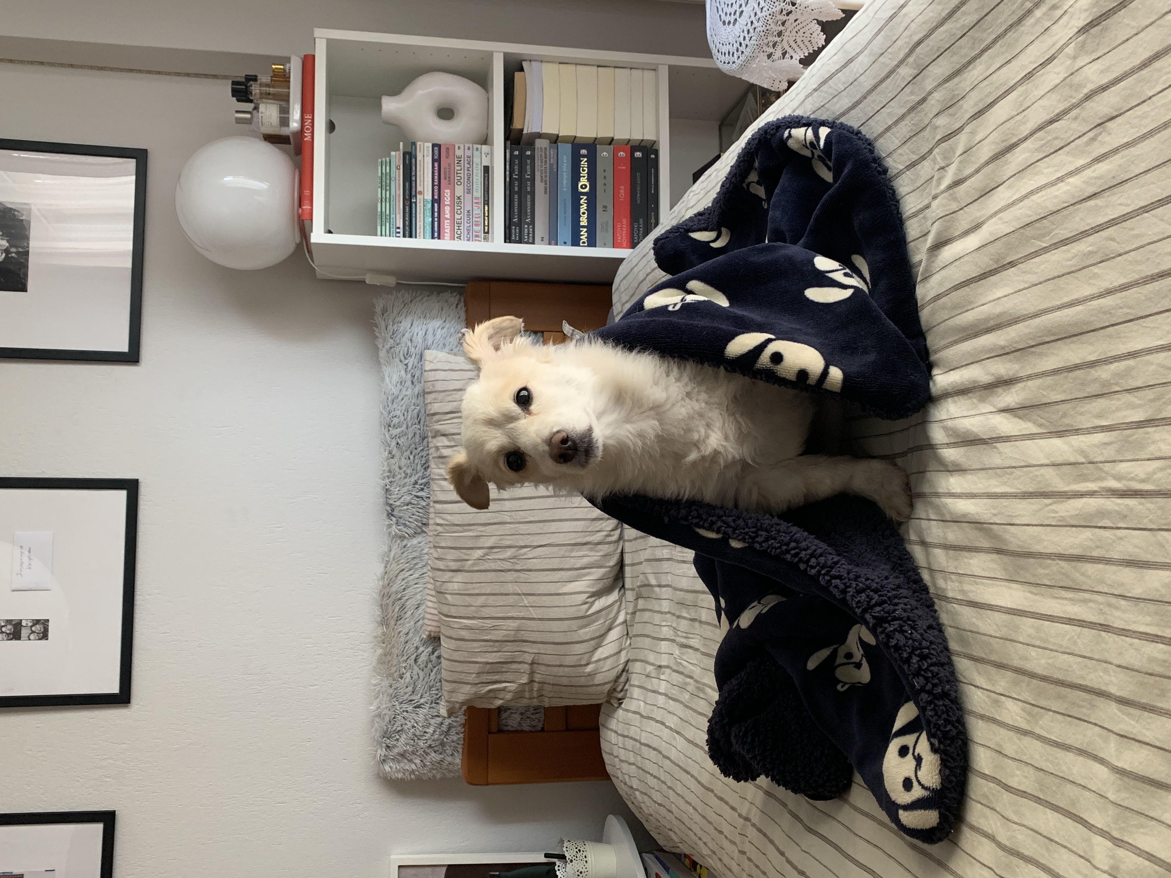 image-8