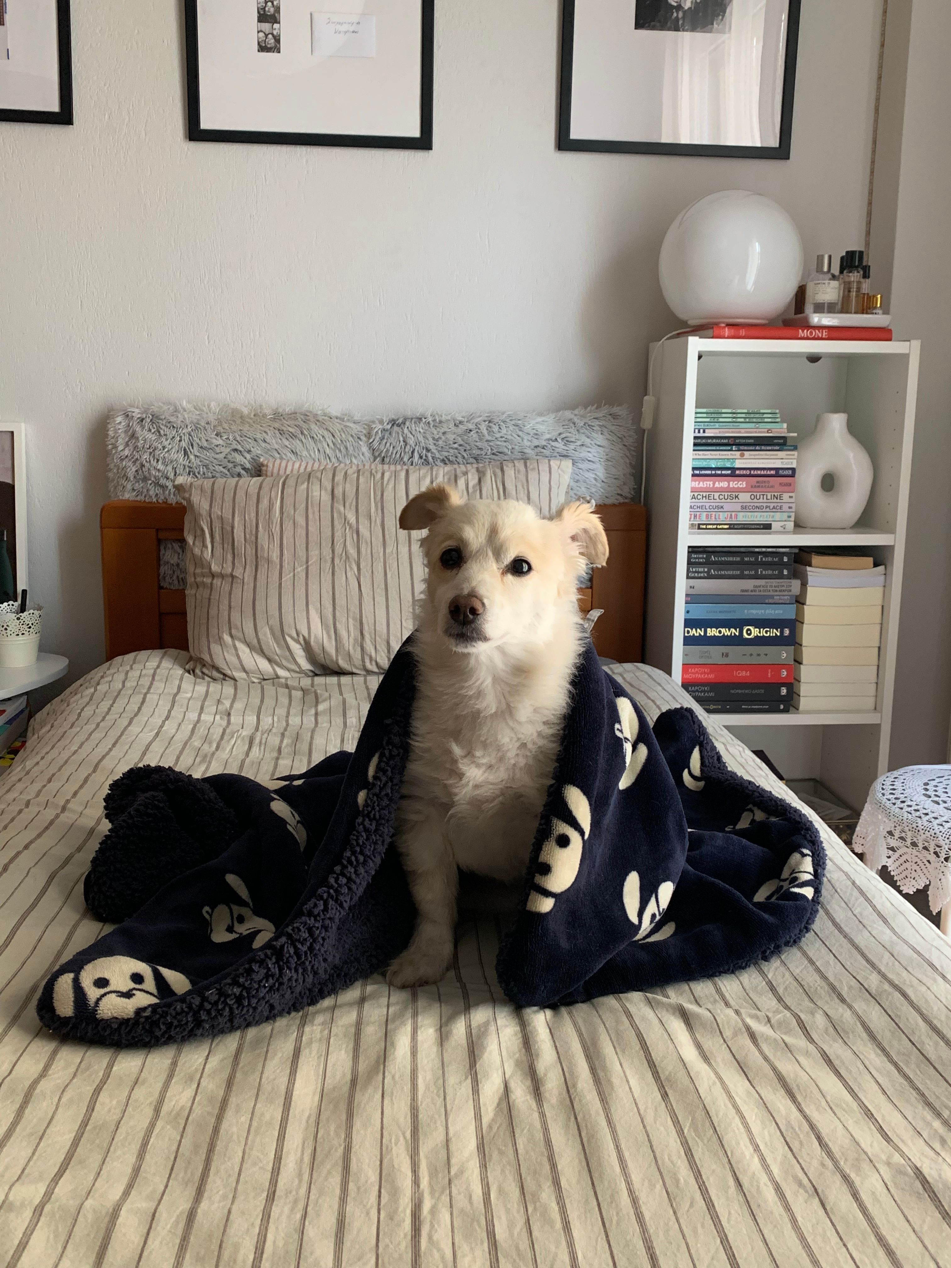 image-8