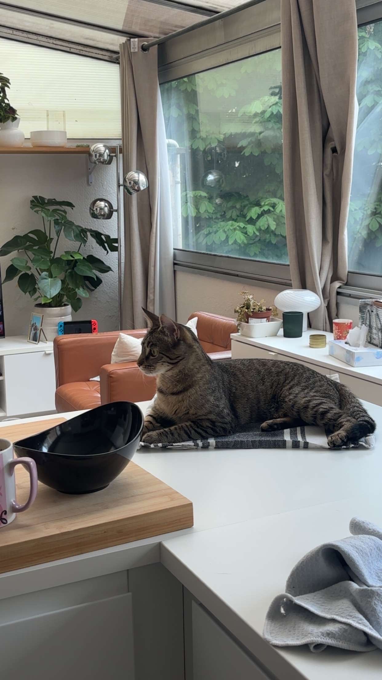 image-18