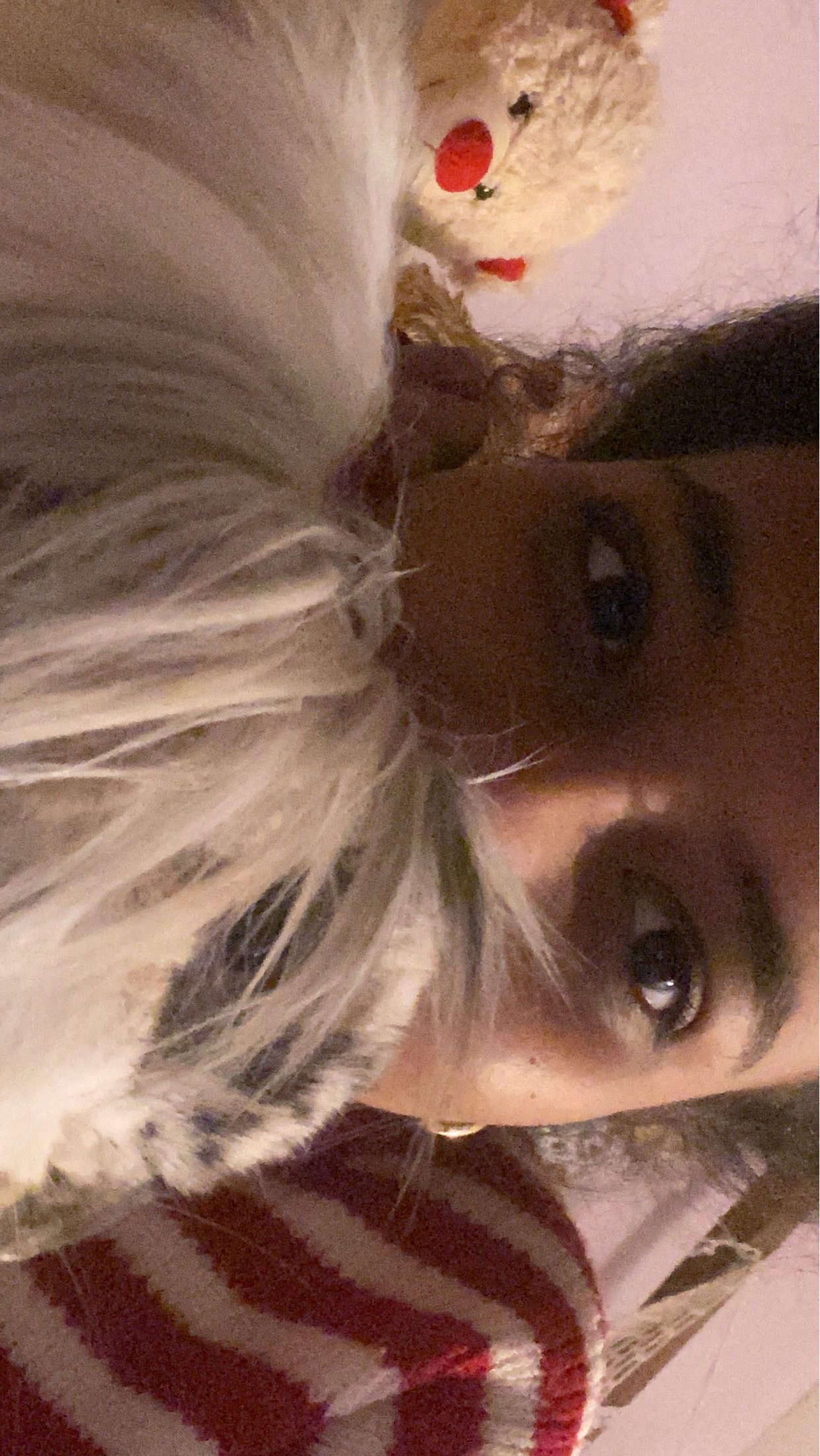 image-6