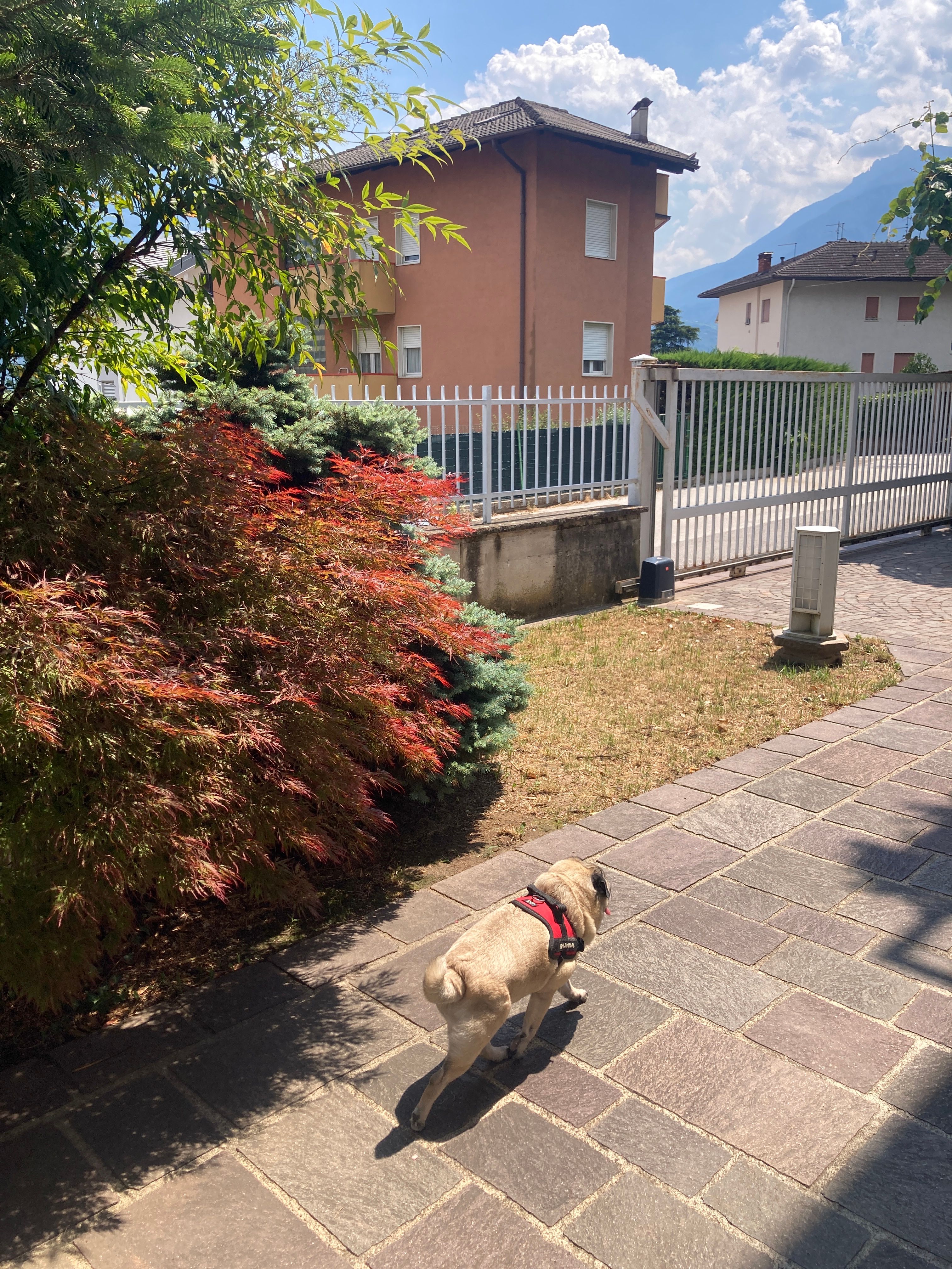 image-11