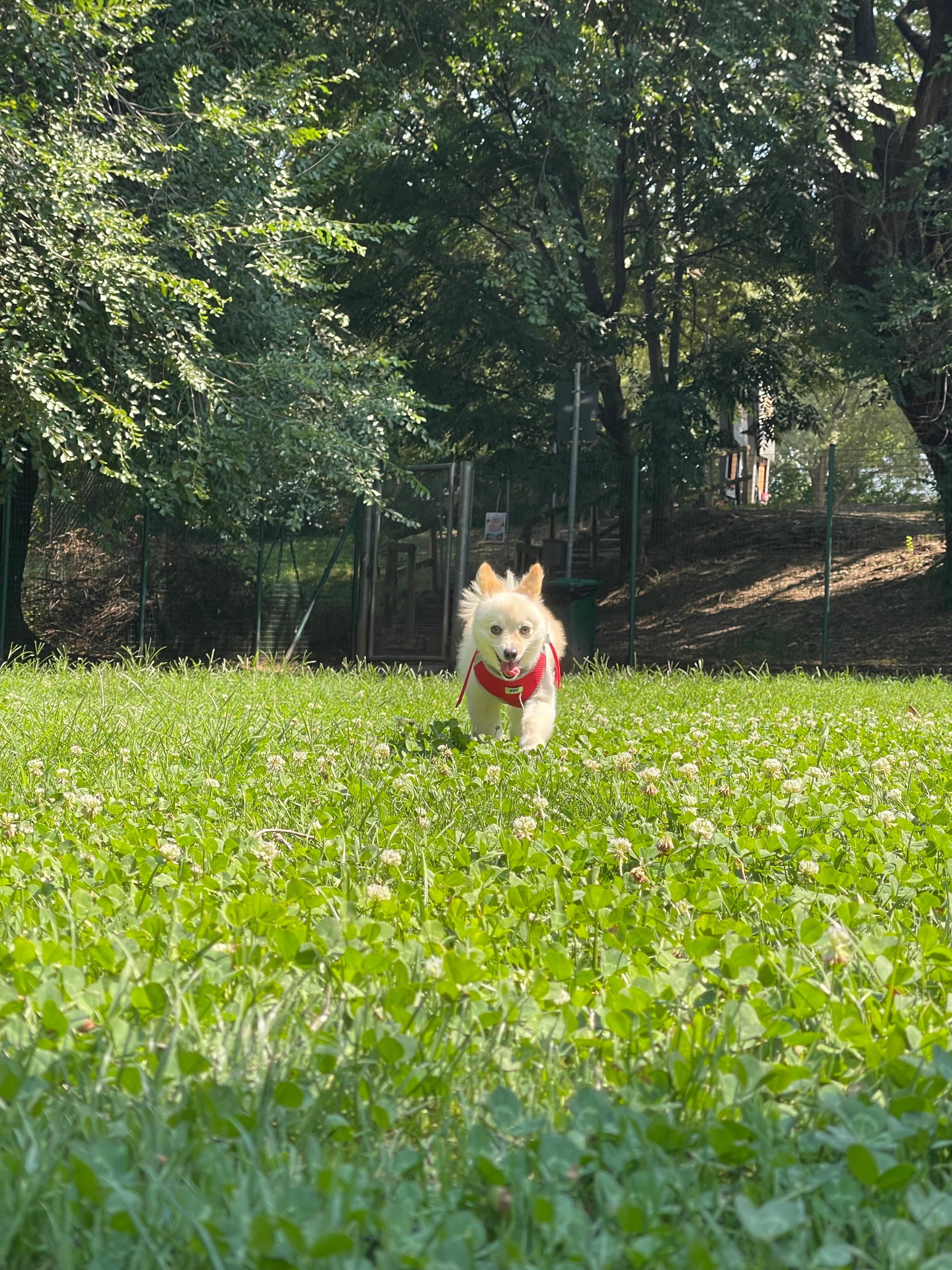 image-10