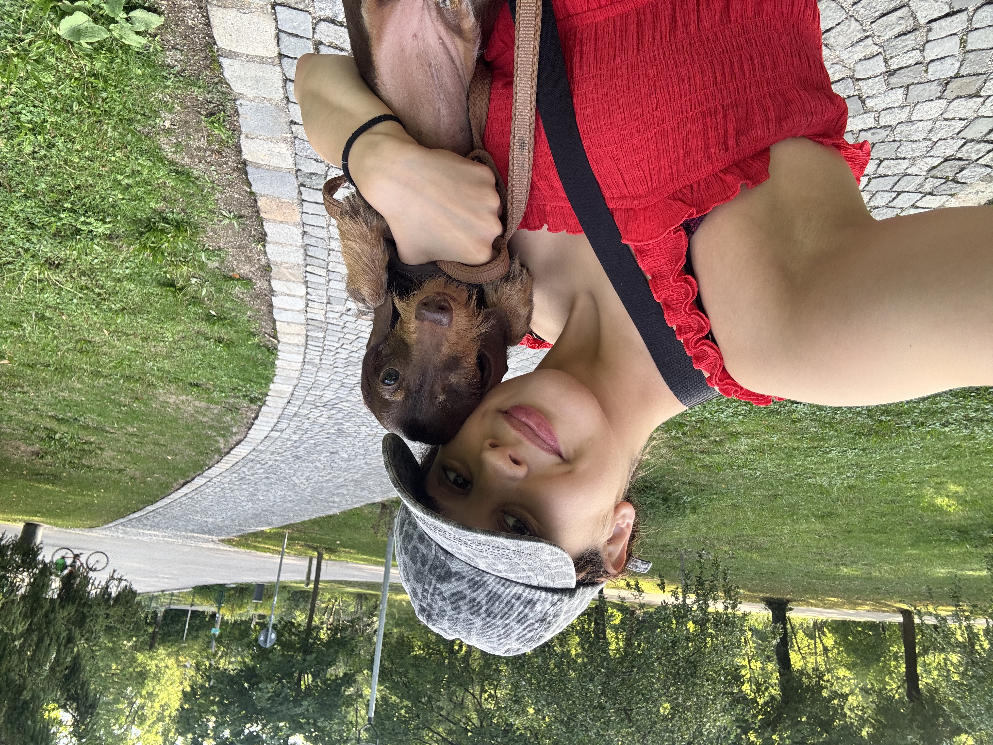 image-7