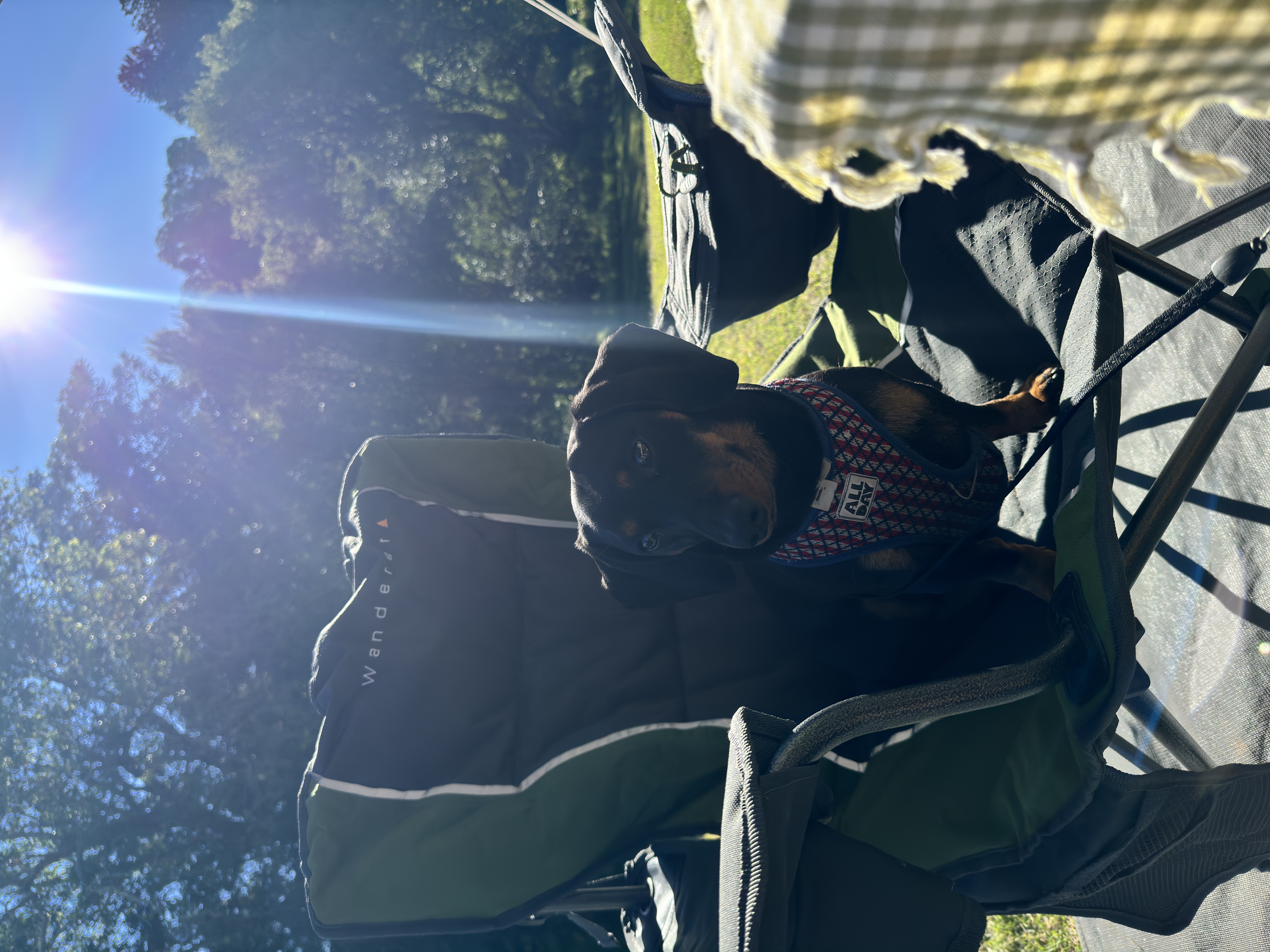 image-6