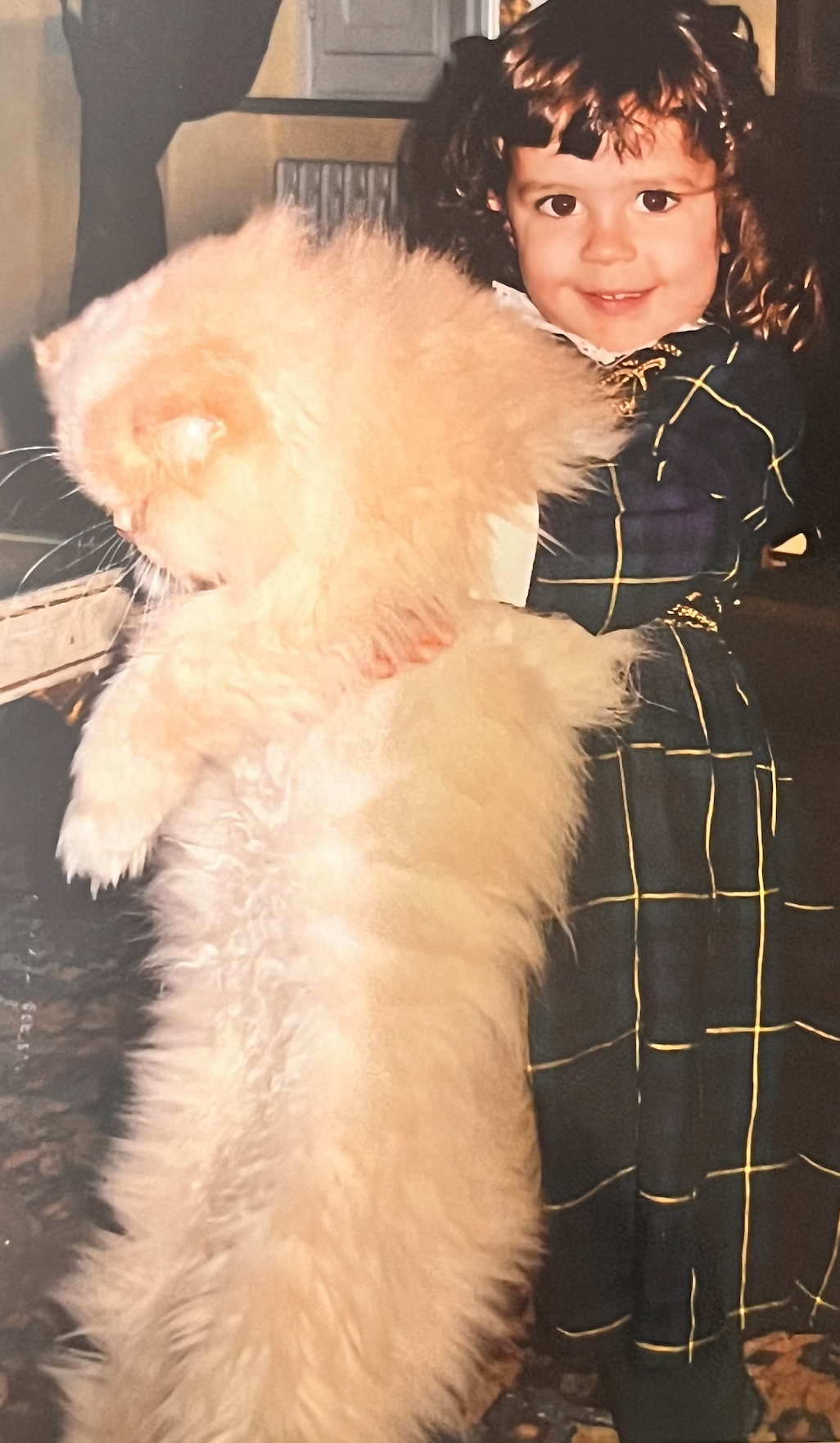 image-5