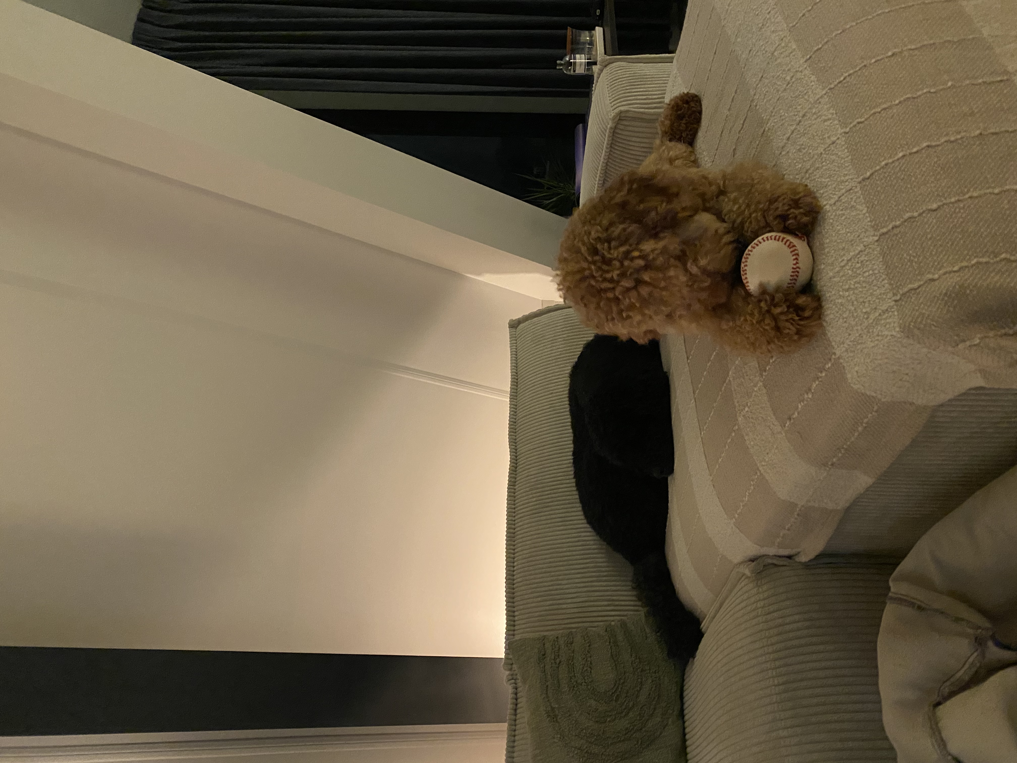 image-5
