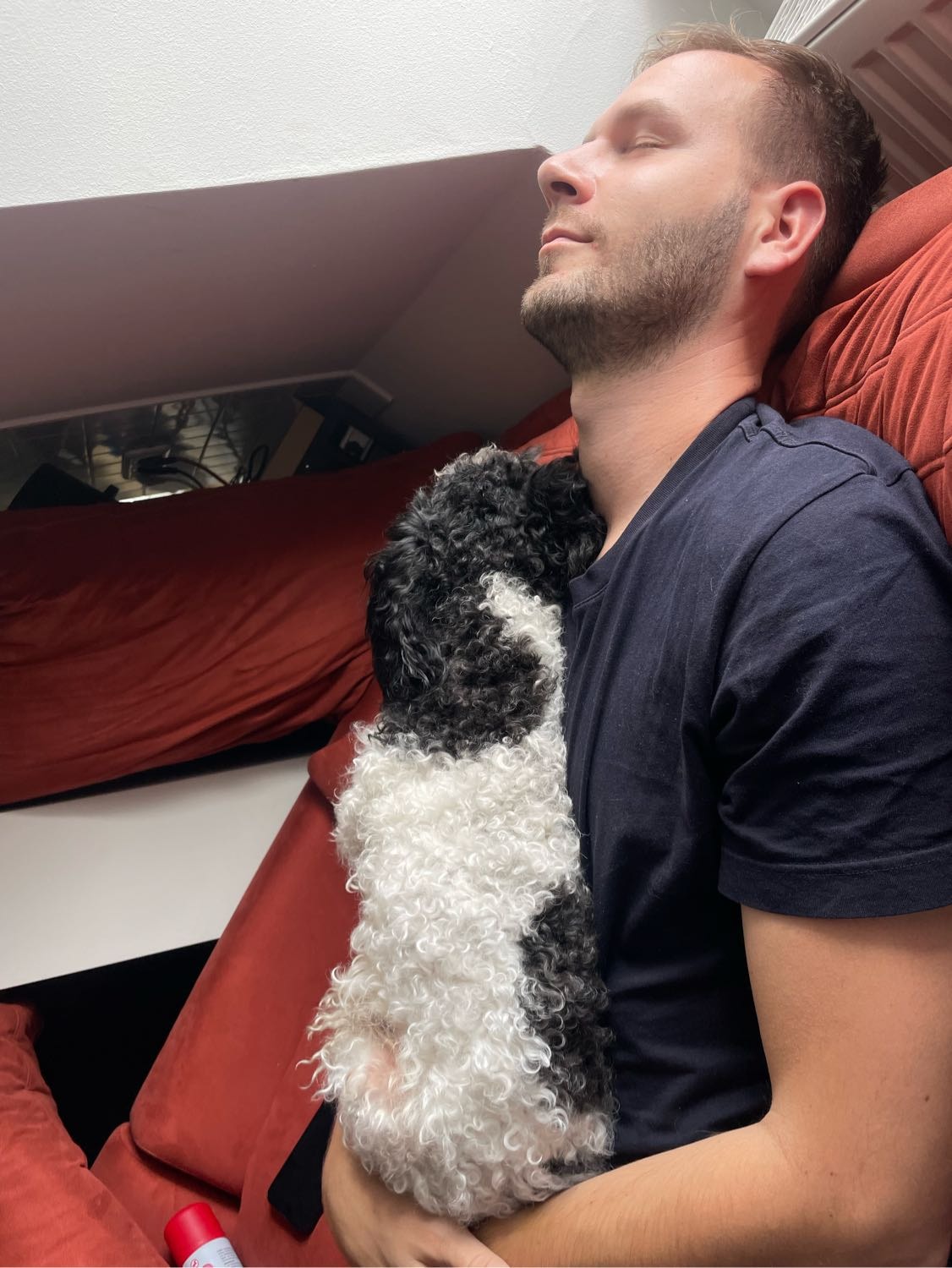 image-2