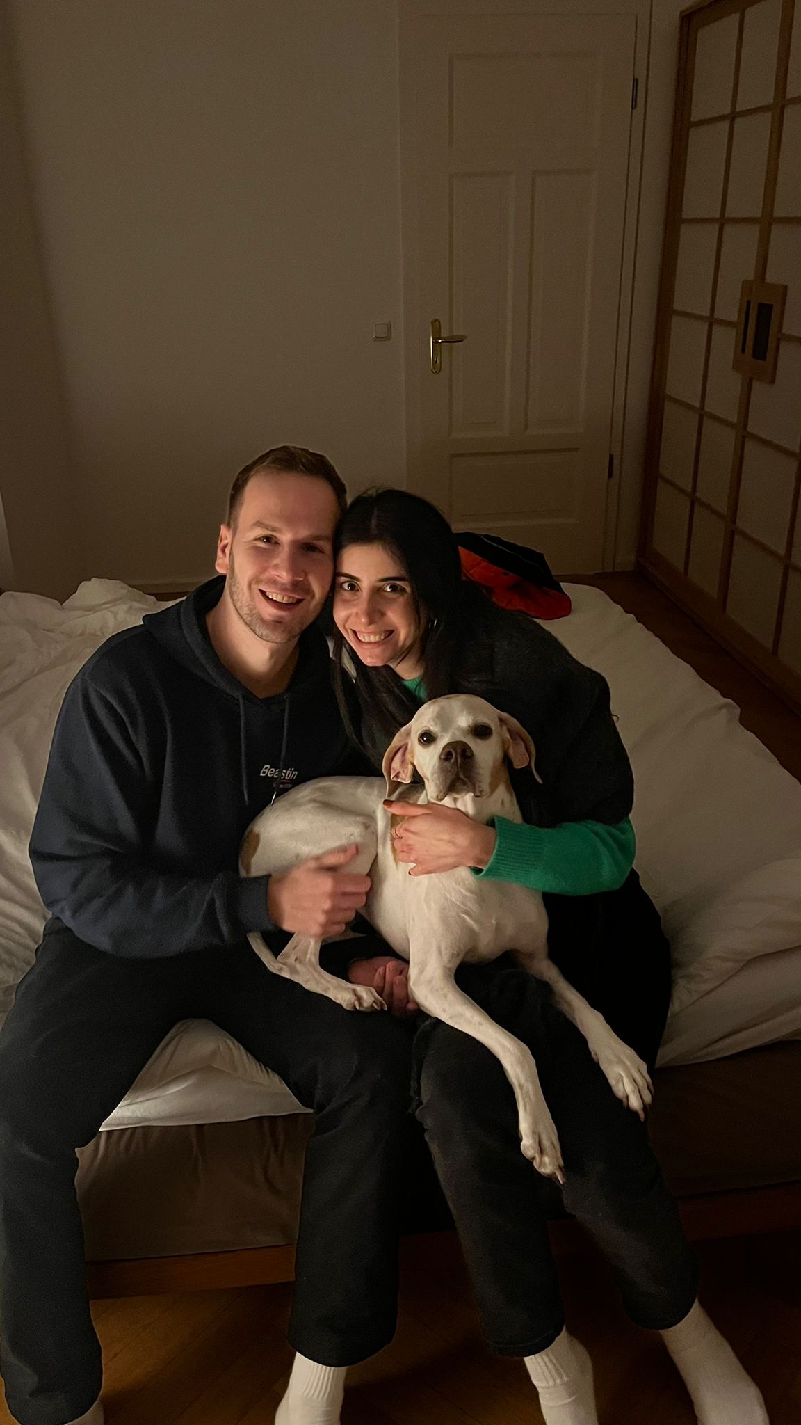 image-7