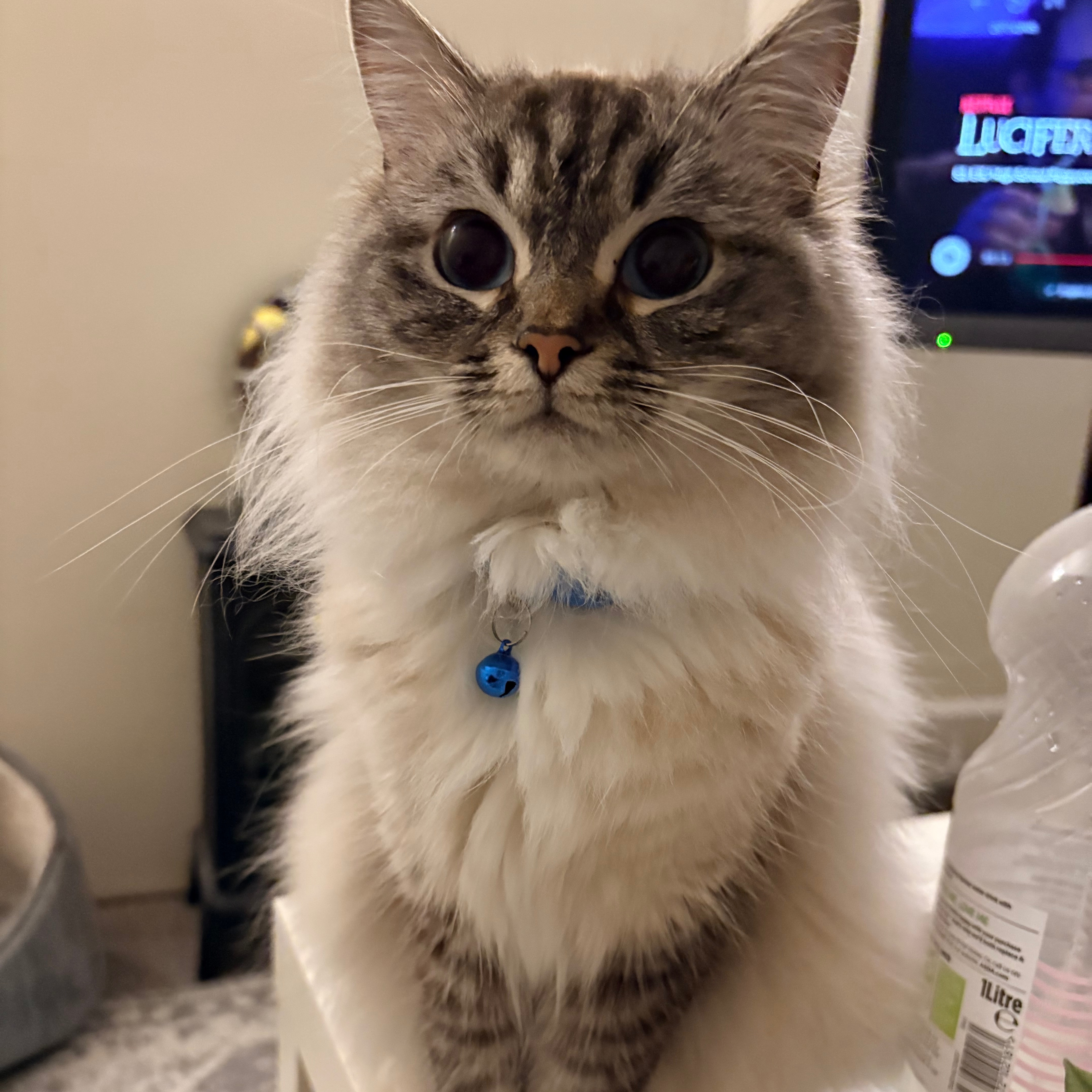 Nala