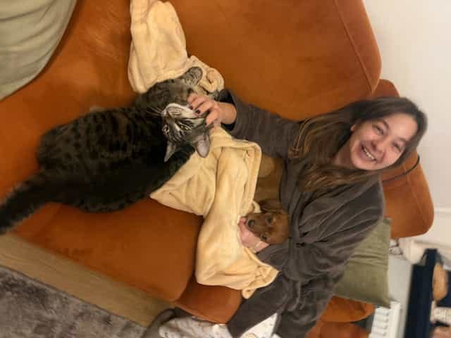 image-3