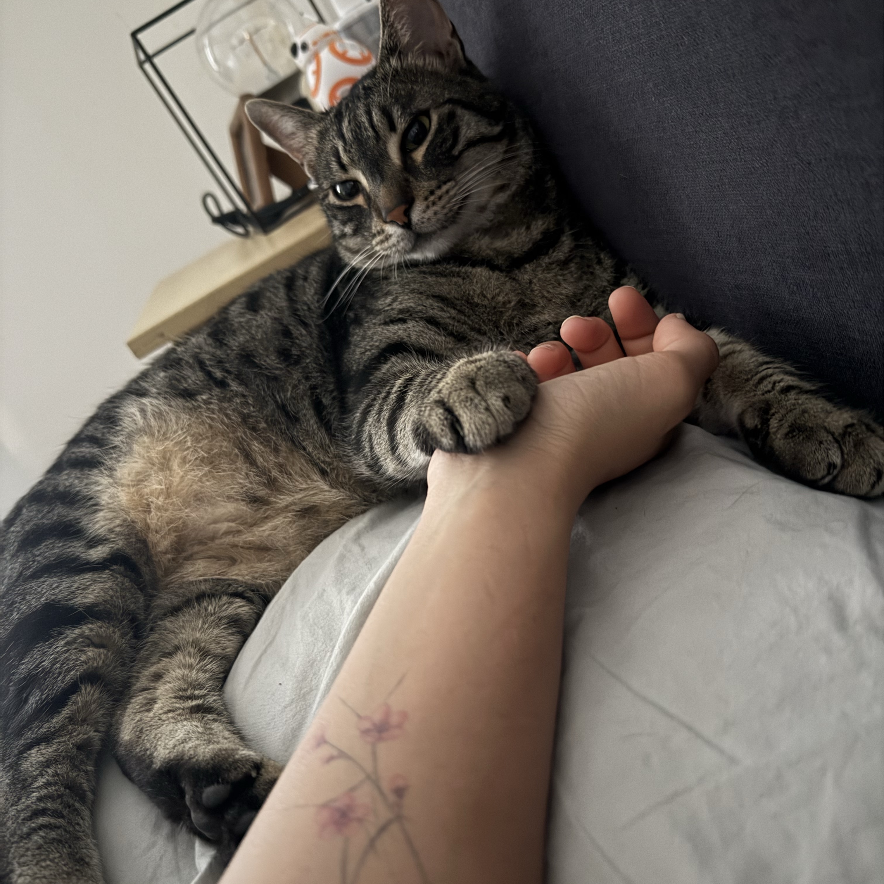 Niki