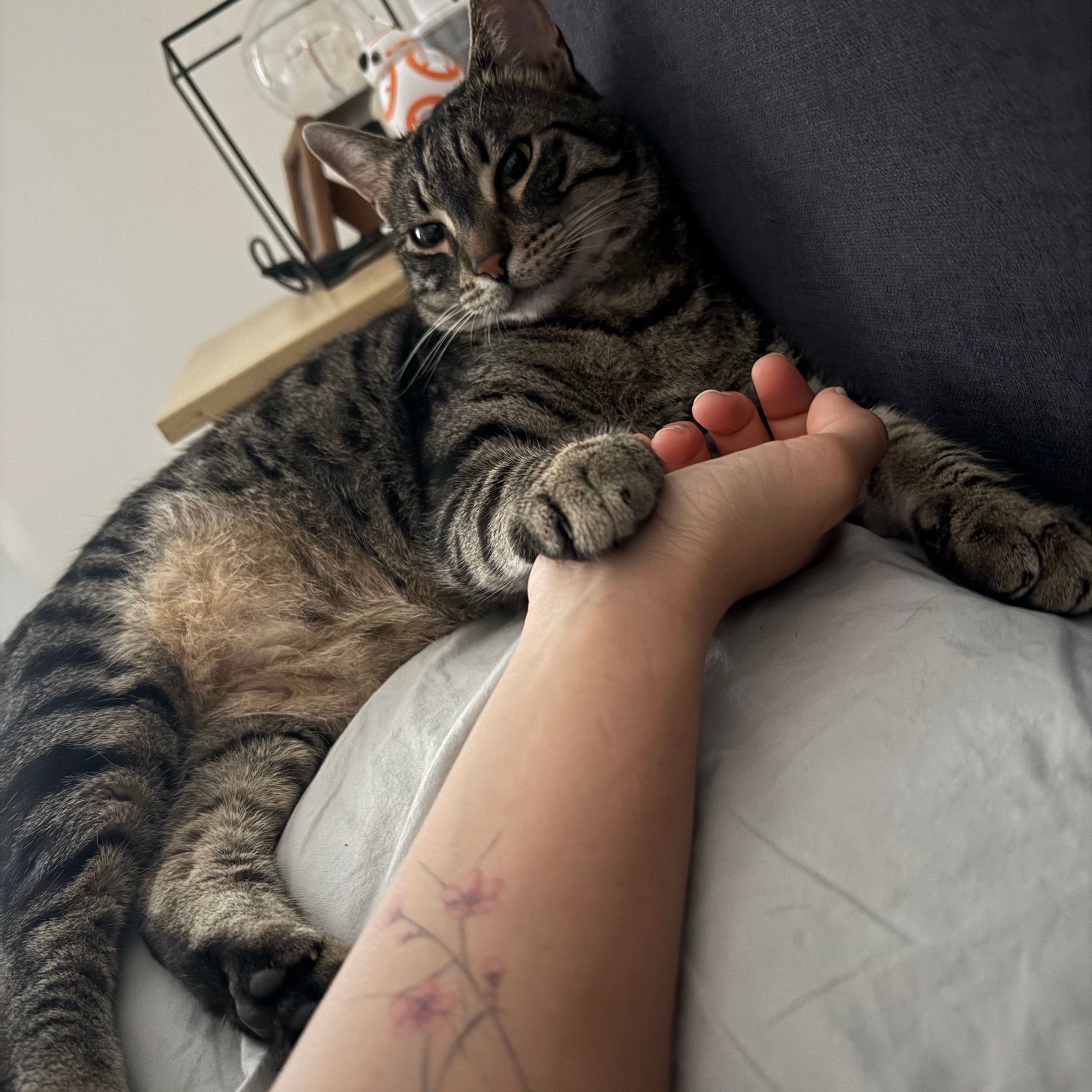 Niki