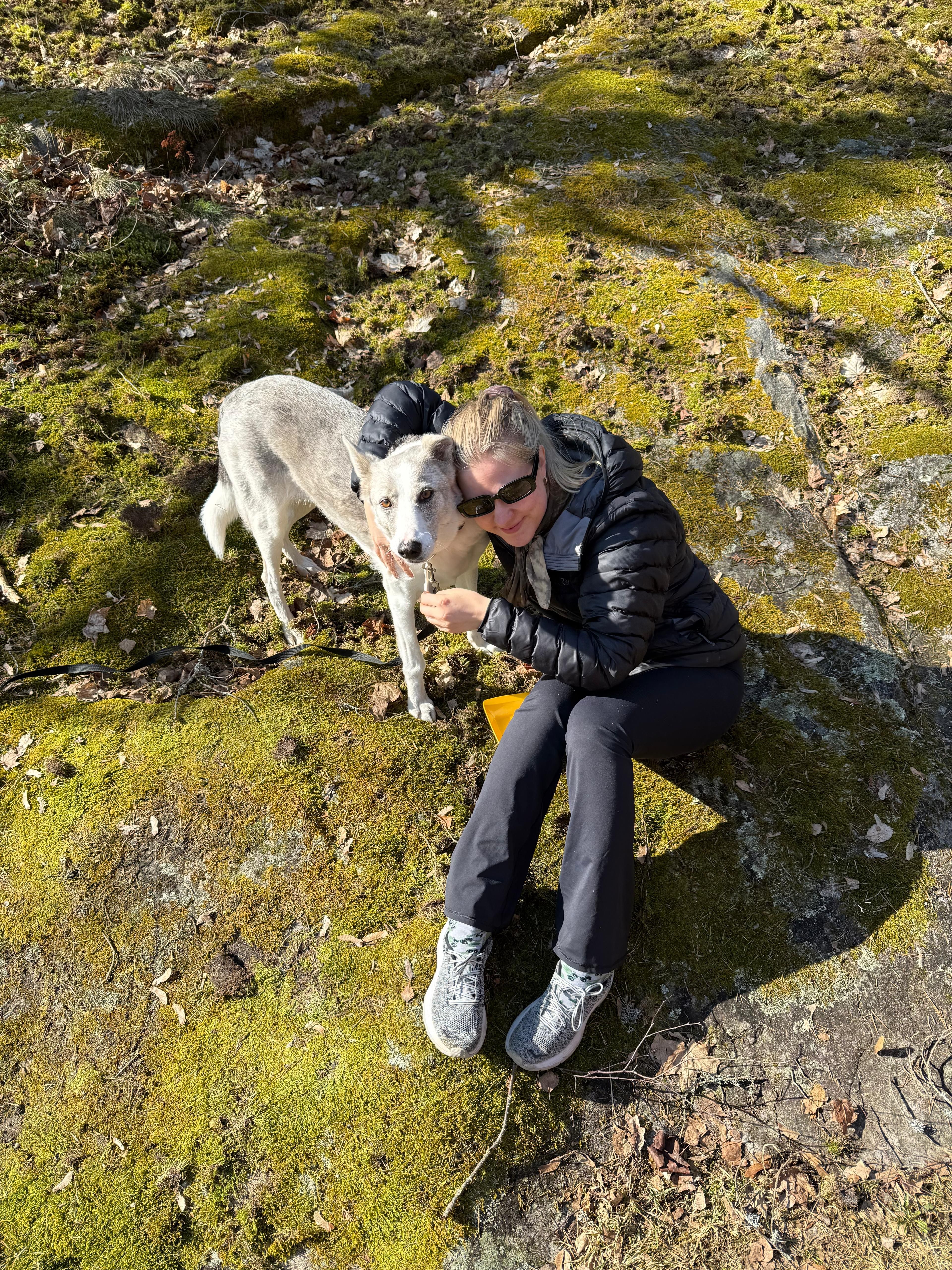 image-7