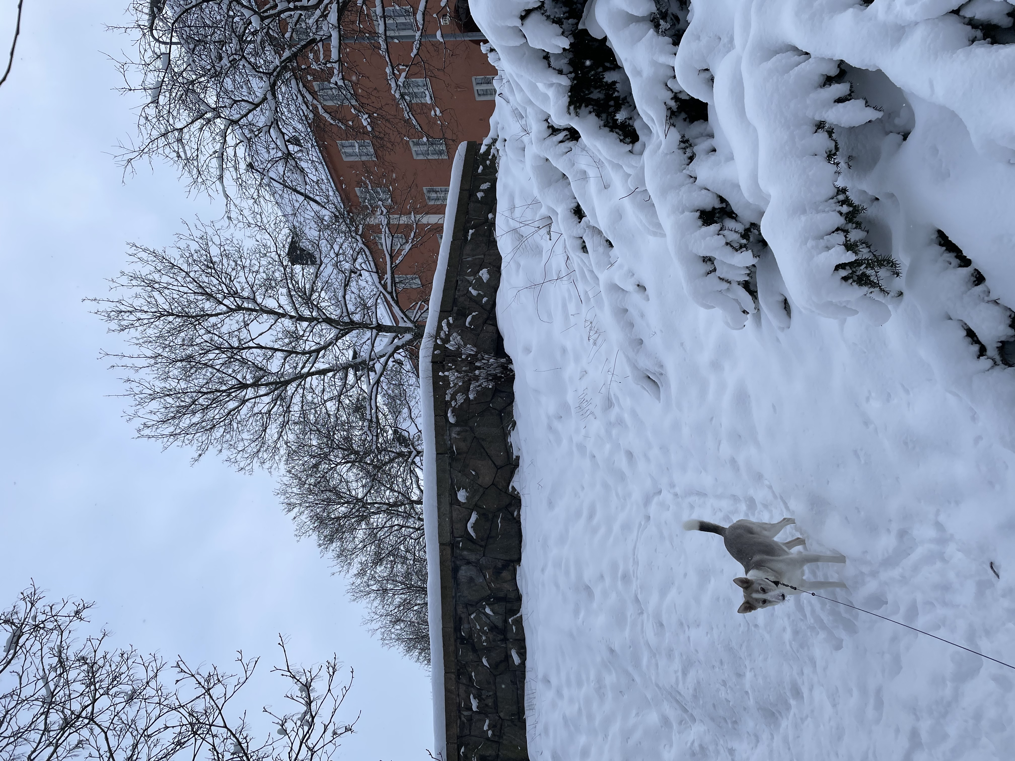 image-9
