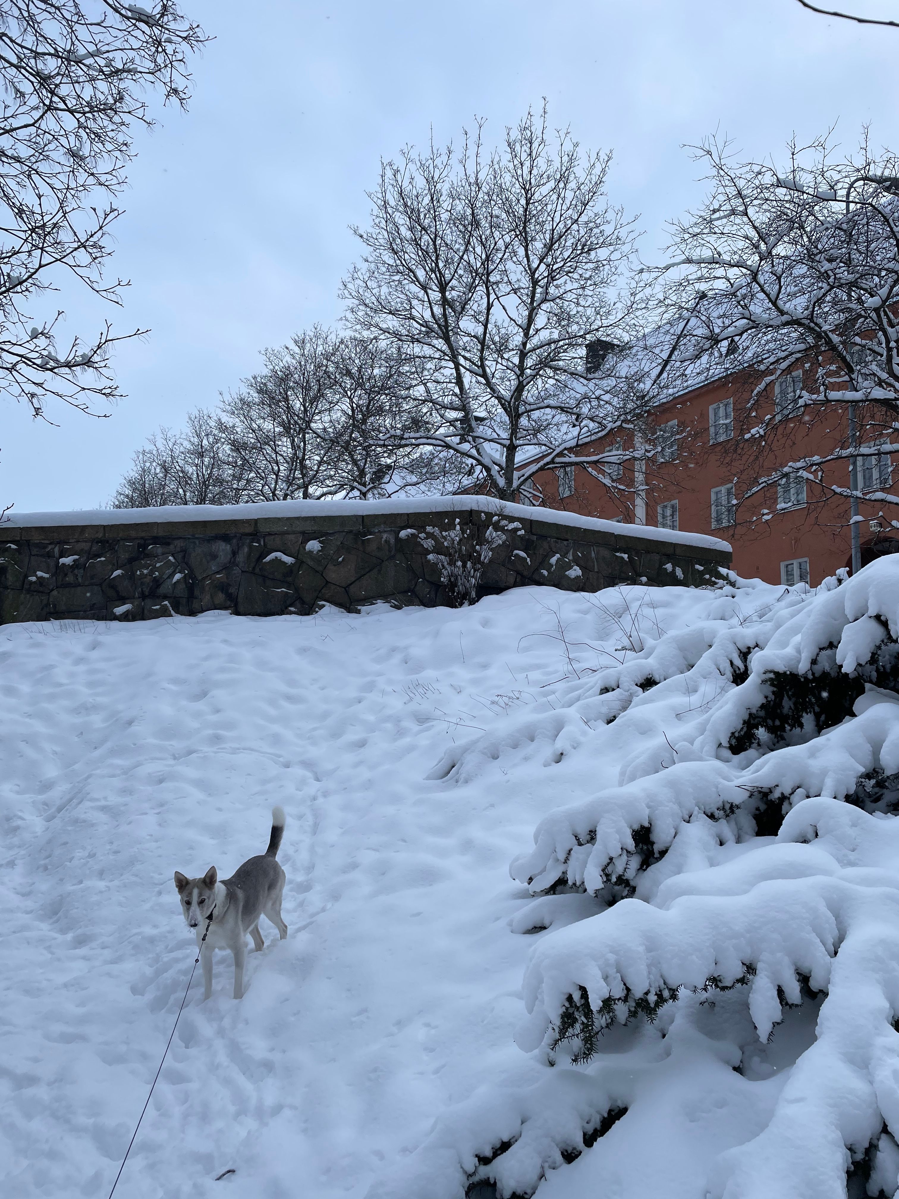 image-9
