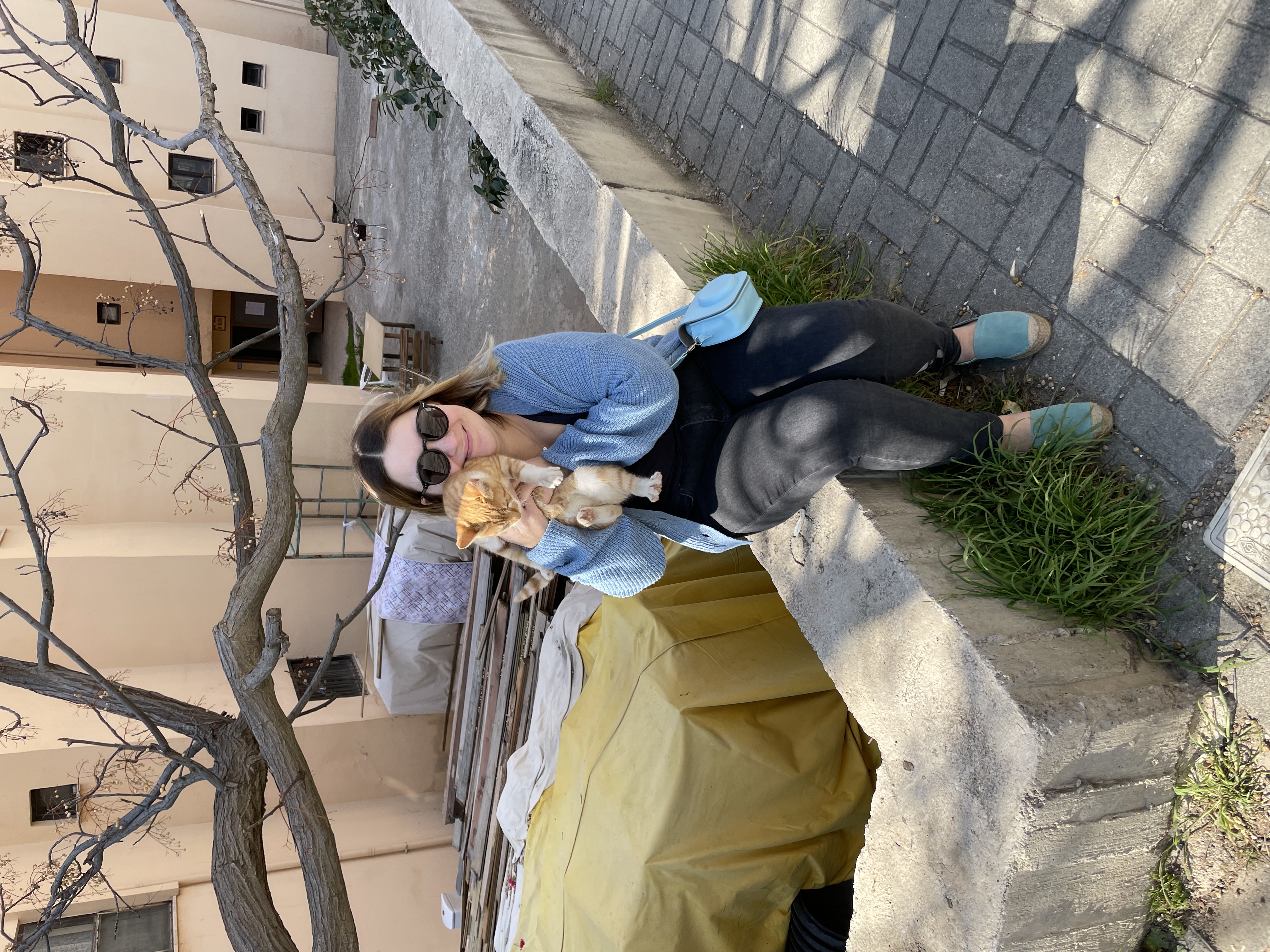 image-8