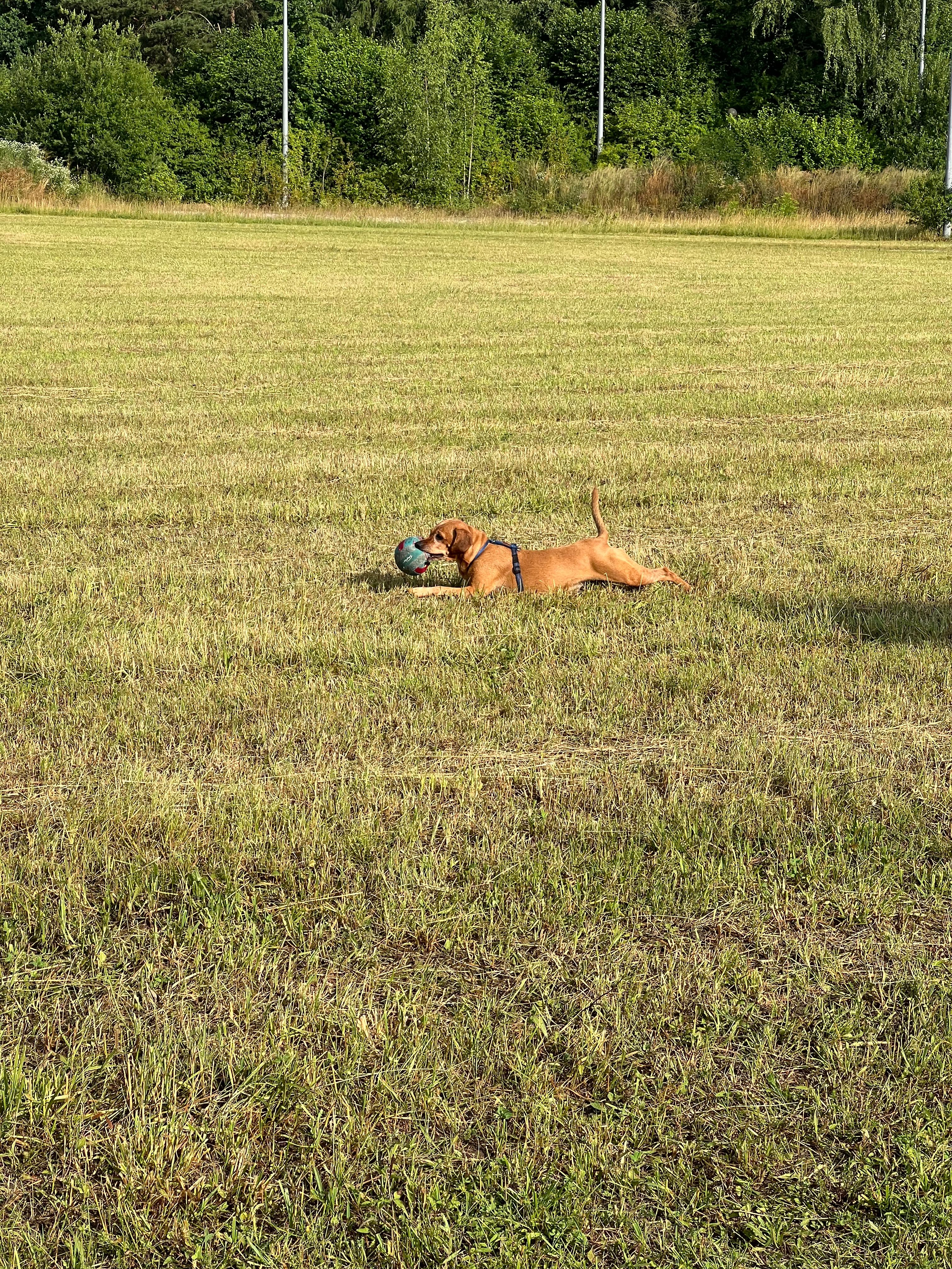 image-11