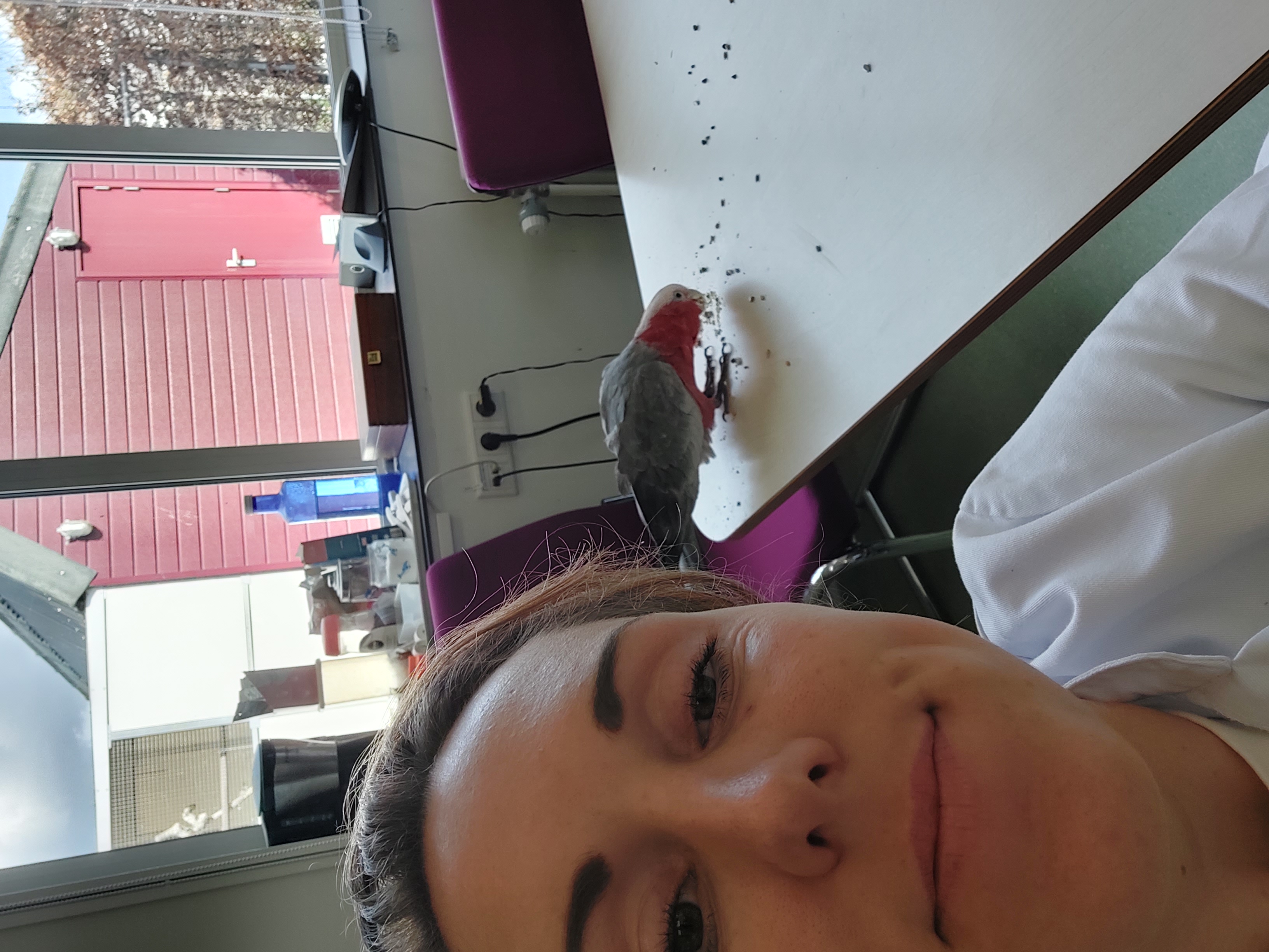 image-10